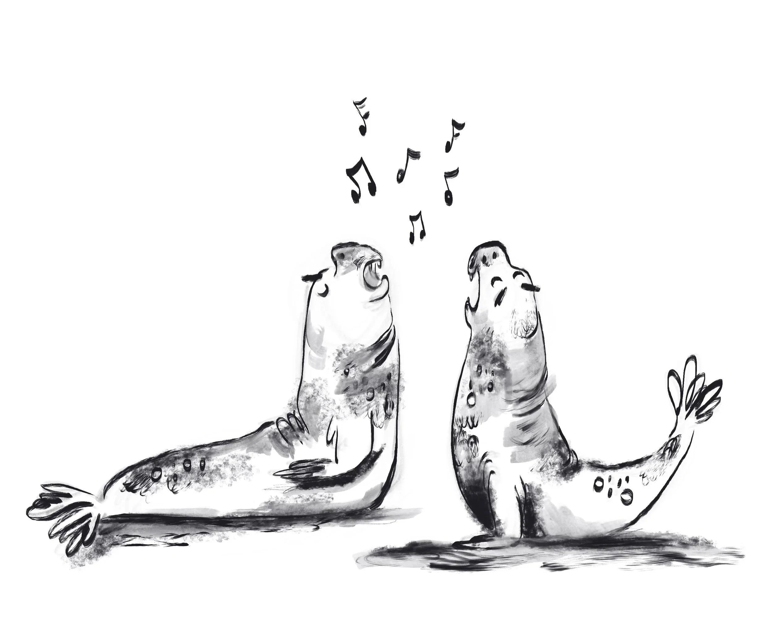 Black+and+white+illustration+of+singing+seals+for+picture+book.jpg