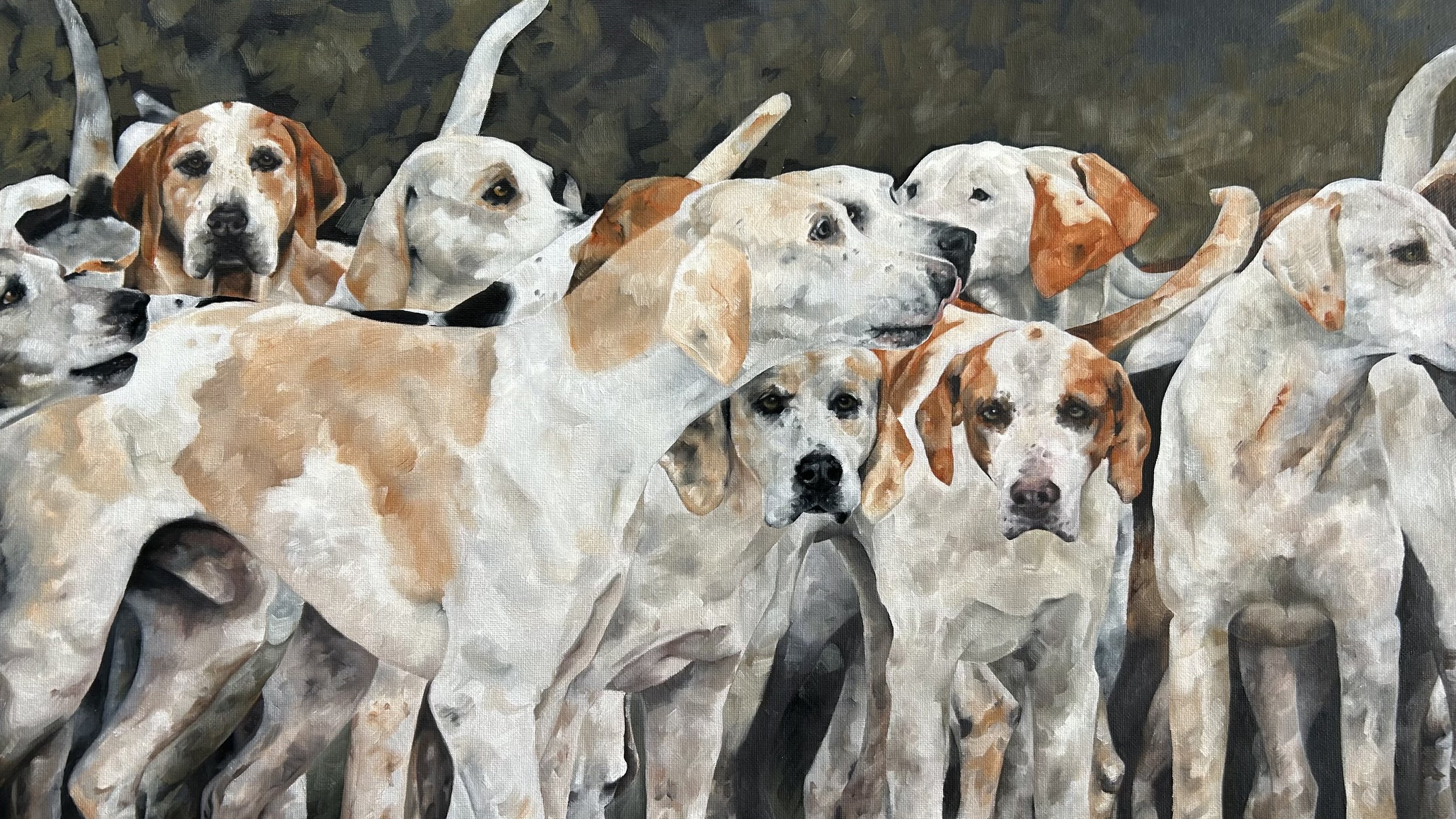 A group of hound dogs with white, tan, and black fur standing closely together.
