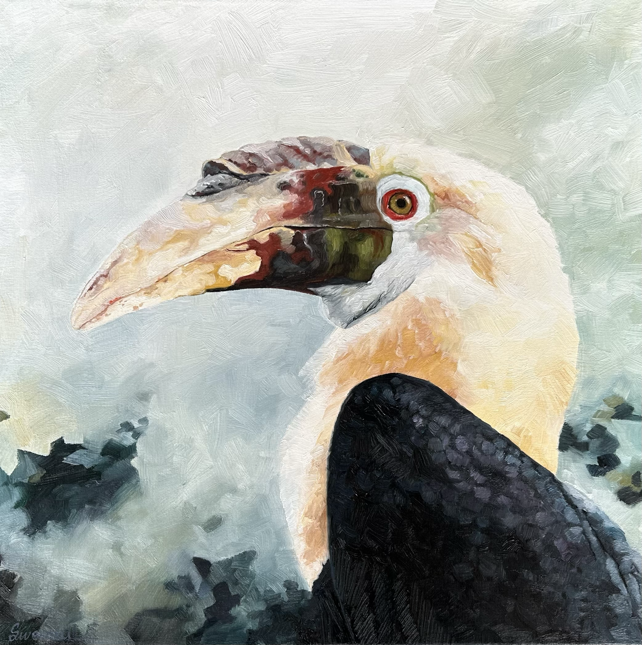 Hornbill portrait painting in oils