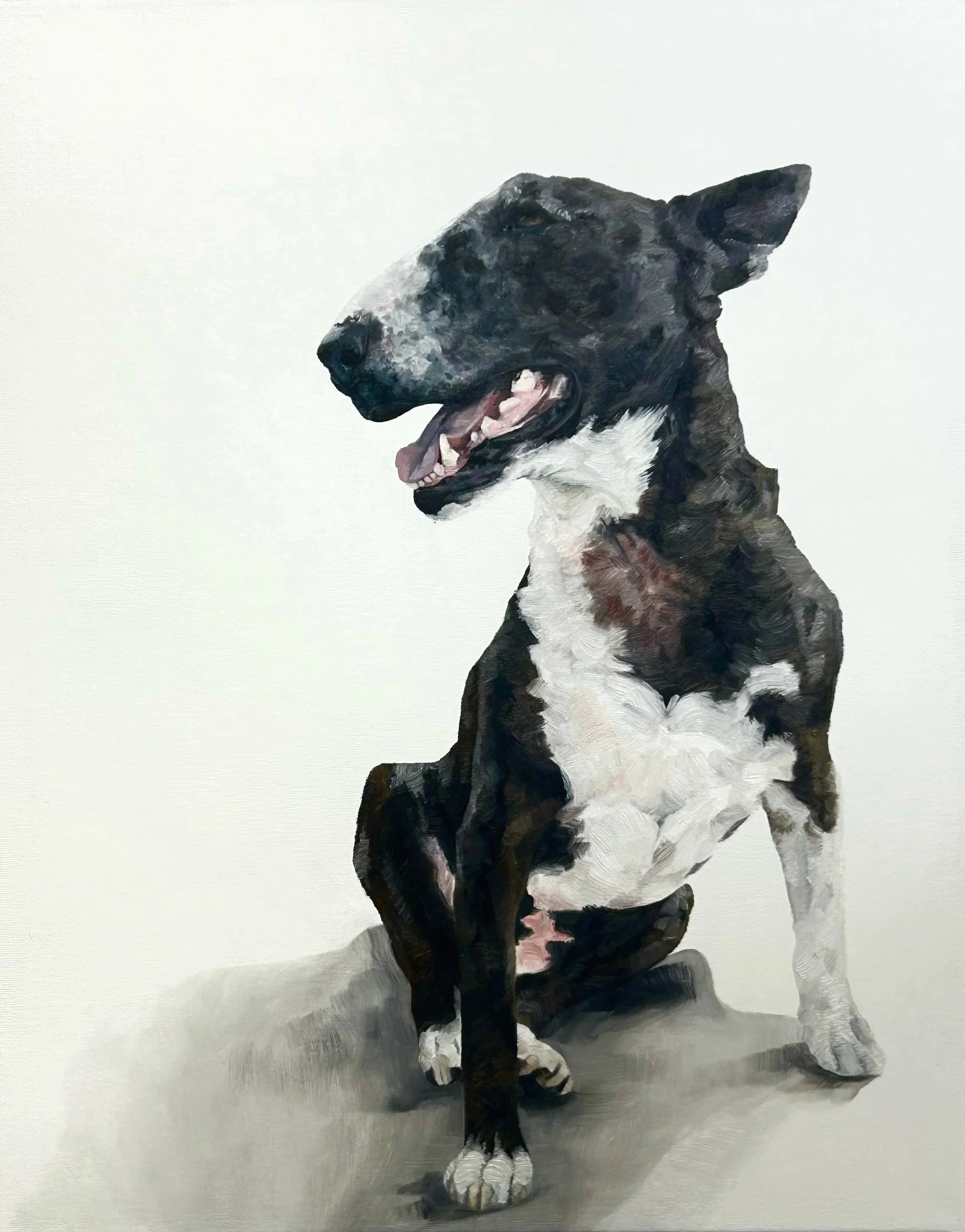 Painting of a sitting black and white dog with pointy ears, panting