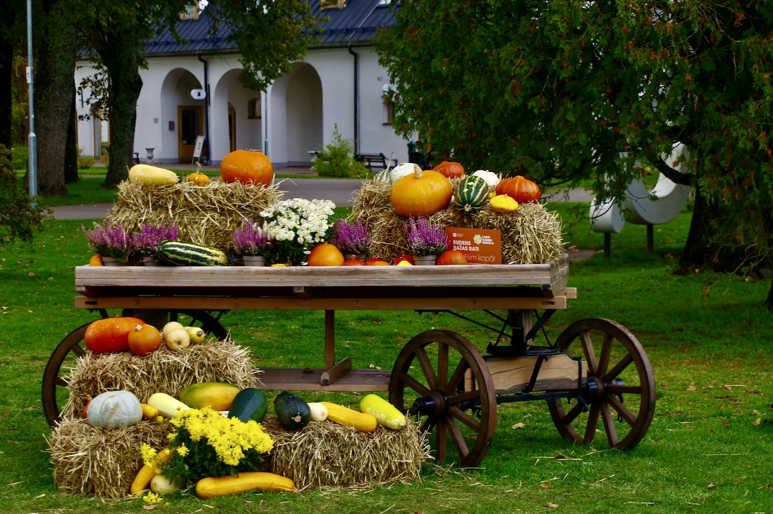 Harvest Sunday Service