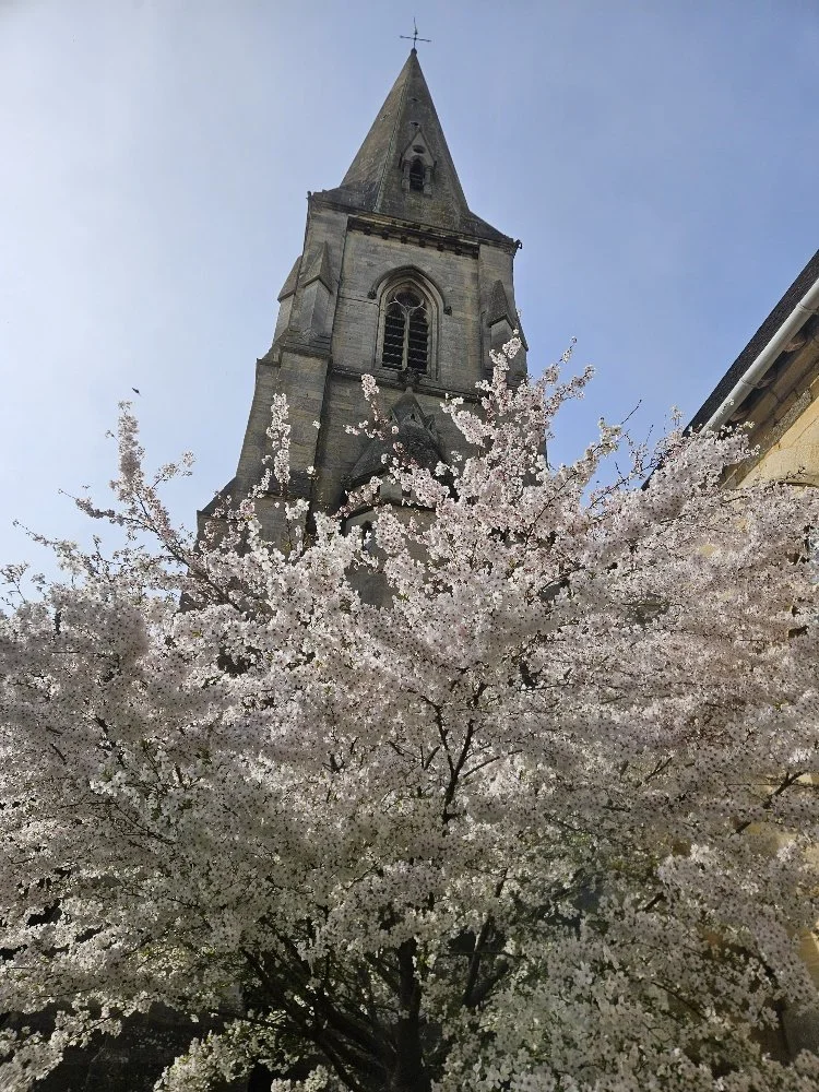 Special Sunday Service, Annual Church Meeting (APCM) &amp;  Hot Lunch