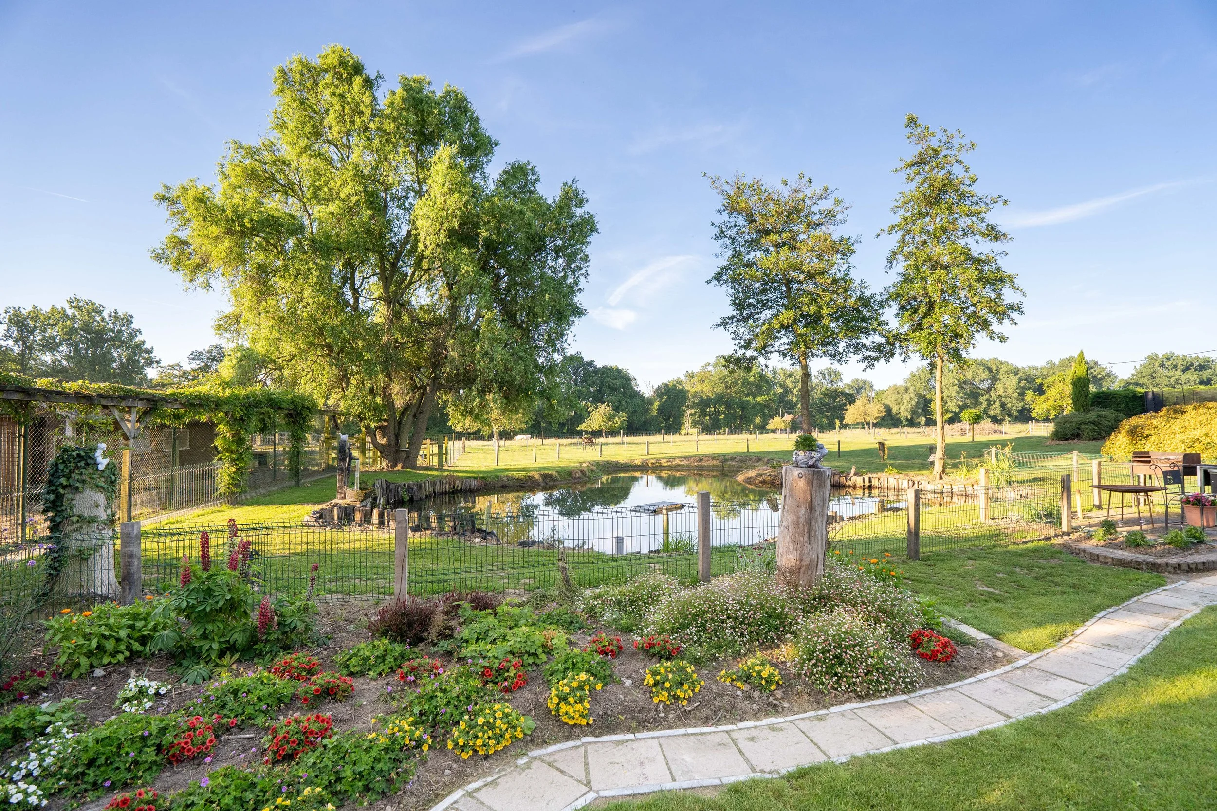 DSC00442.jpg