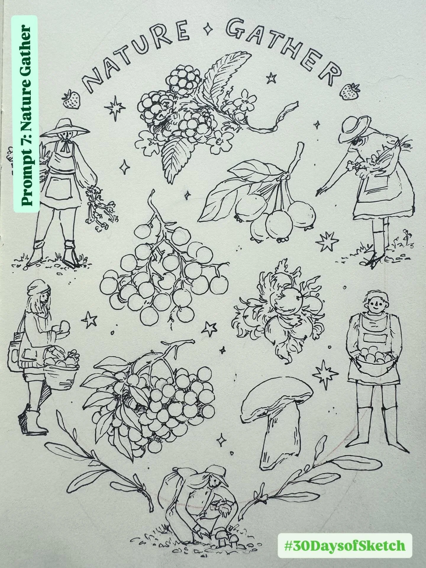 A quick one this morning before I meet my family for a matinee of Moulin Rouge at the theatre. Can&rsquo;t wait! 

This sketch page was all about foraging in late summer for the prompt &lsquo;Nature Gather&rsquo; for @inkygoodnesscollective #30Daysof