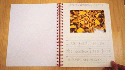 Weixin Image_20241130083142.gif