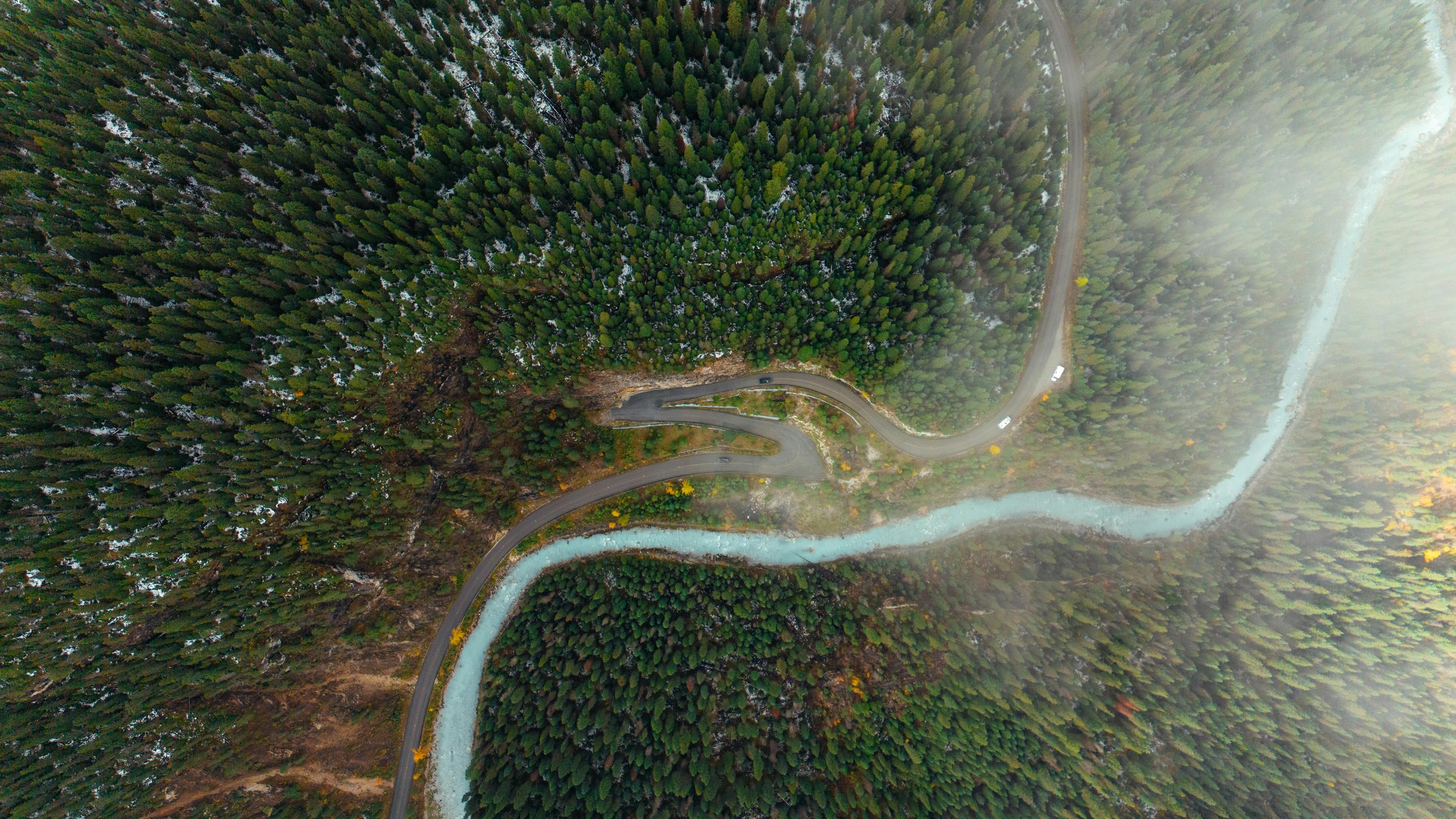 5 Key Trends of AI in the Insurance Industry Leaders Can’t Ignore