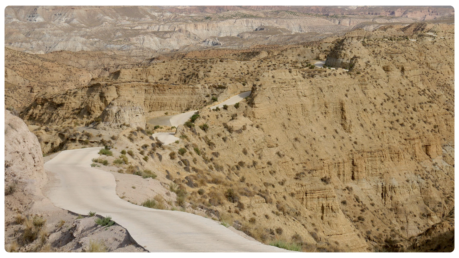 The Playbook for Portfolio Insurance Management: Why Fundamentals Still Win