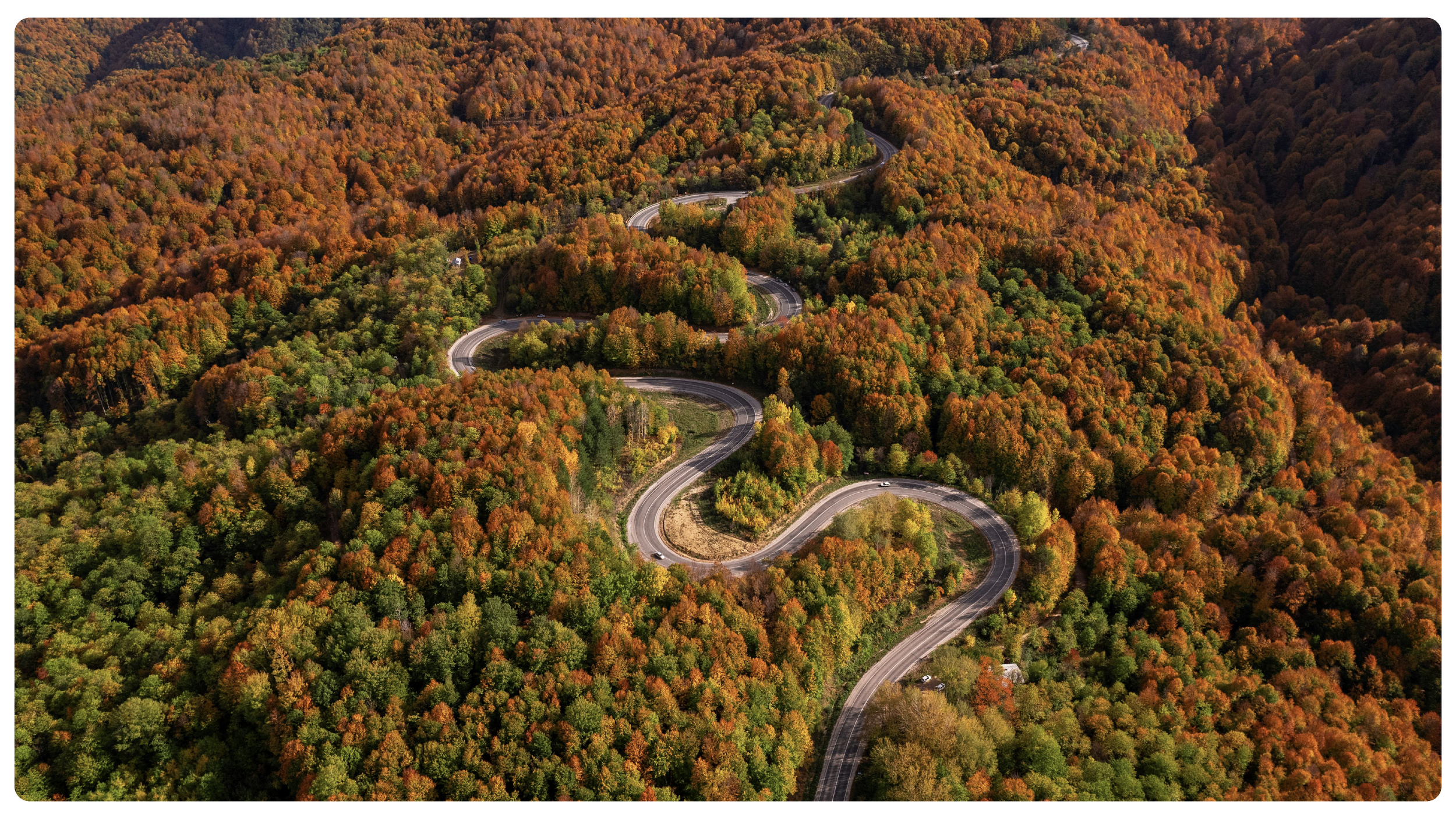 Insurance Book Roll Strategies: From Friction to Execution