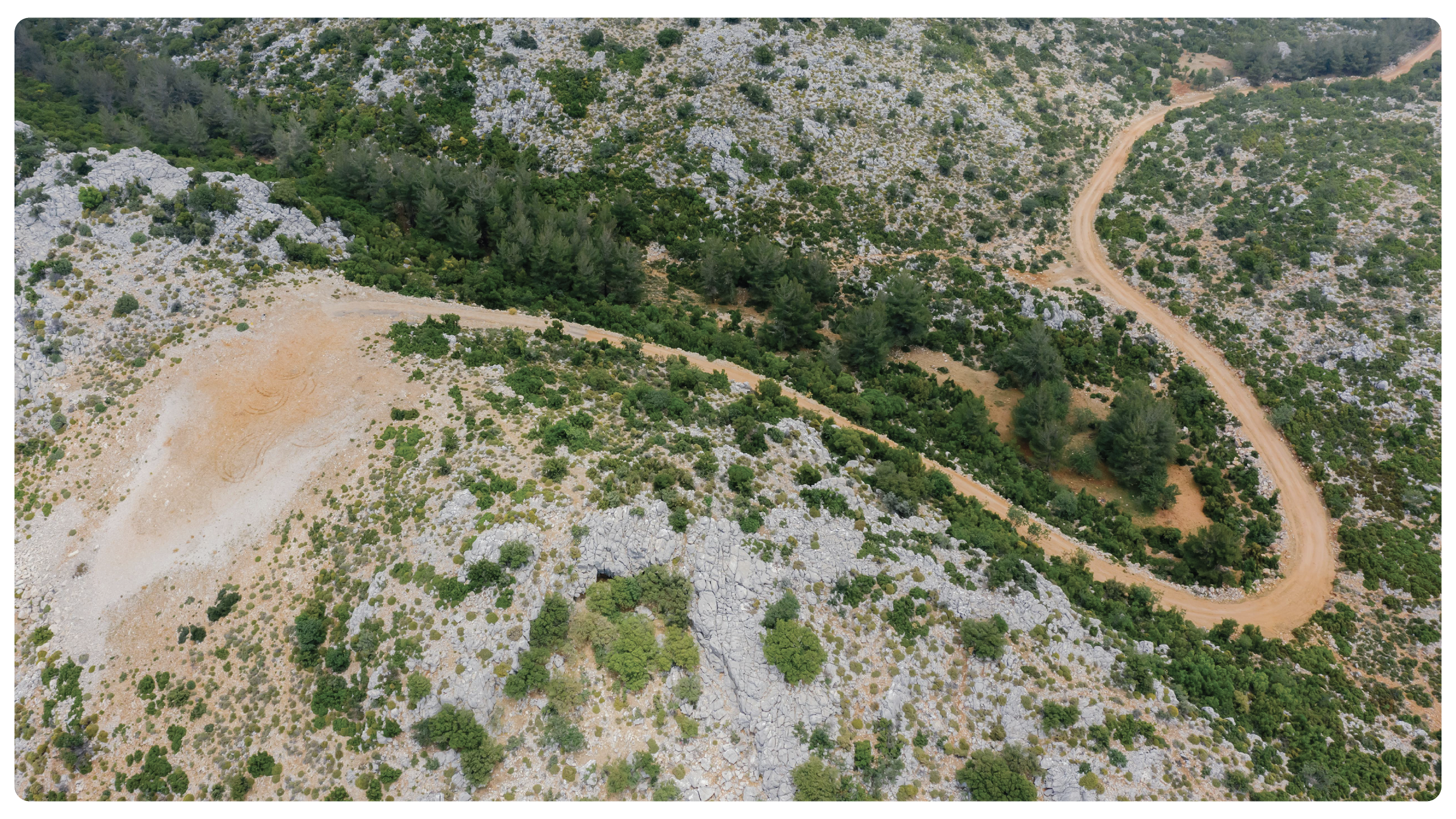 Transforming Loss Run Reports &amp; Management with AI: A Strategic Advantage for Agencies