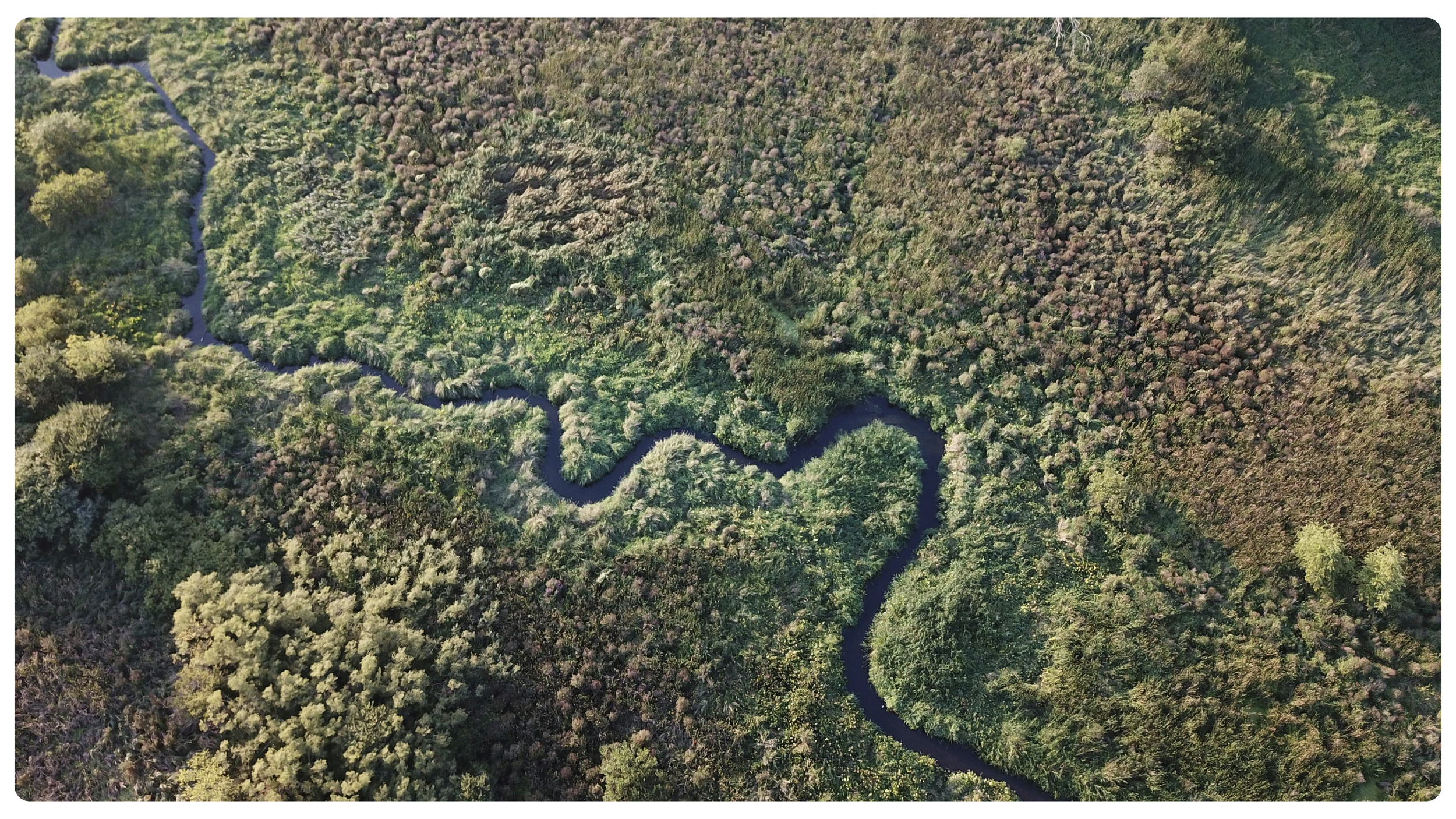 AI Underwriting: From Weeks to Minutes