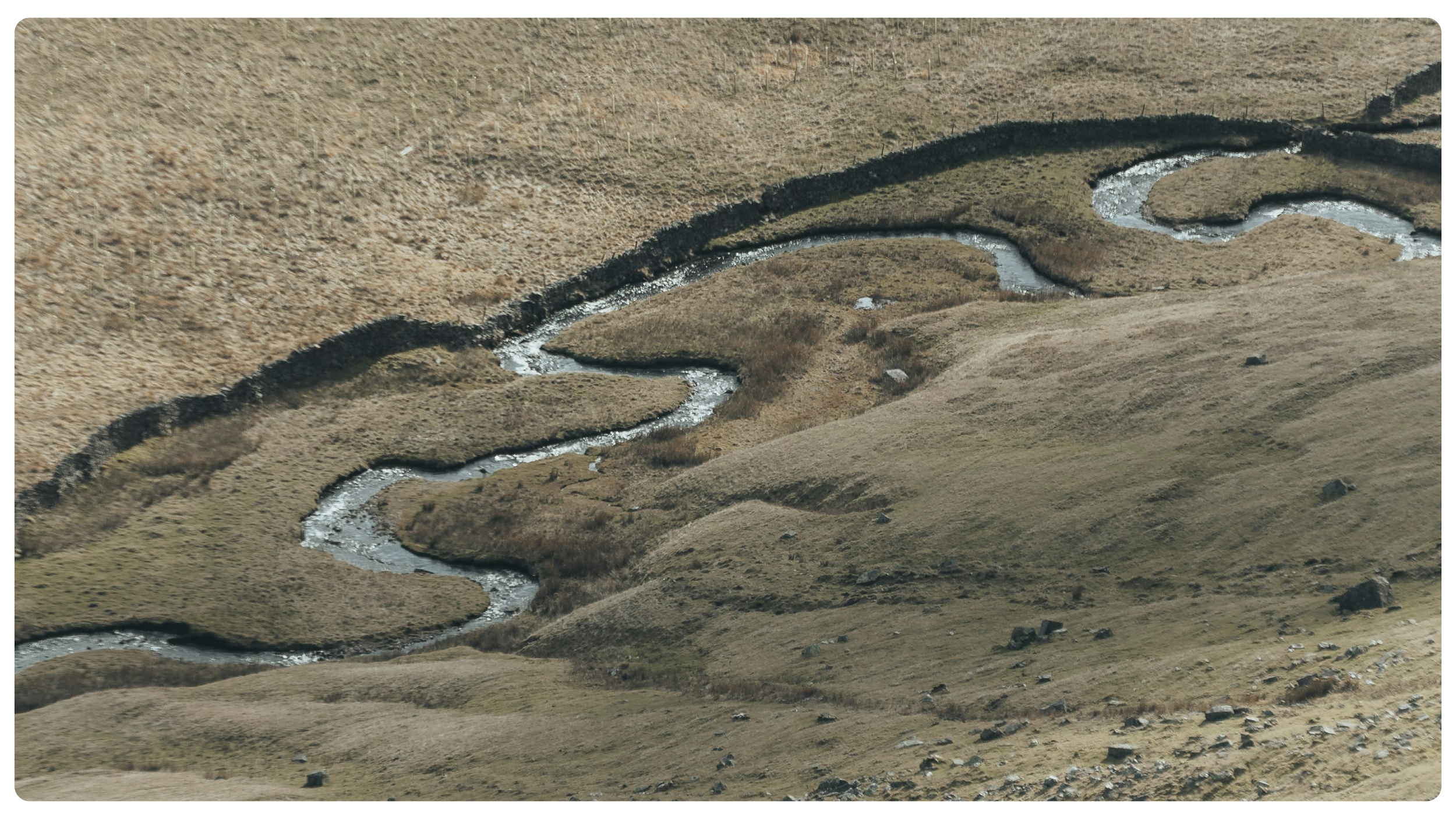 What Insurance Business Intelligence Reveals About Carrier Appetite