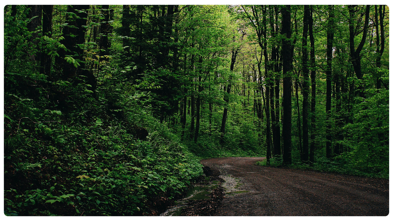 AI Tools for Insurance: Why Carriers and Brokers Can’t Share the Same Technology