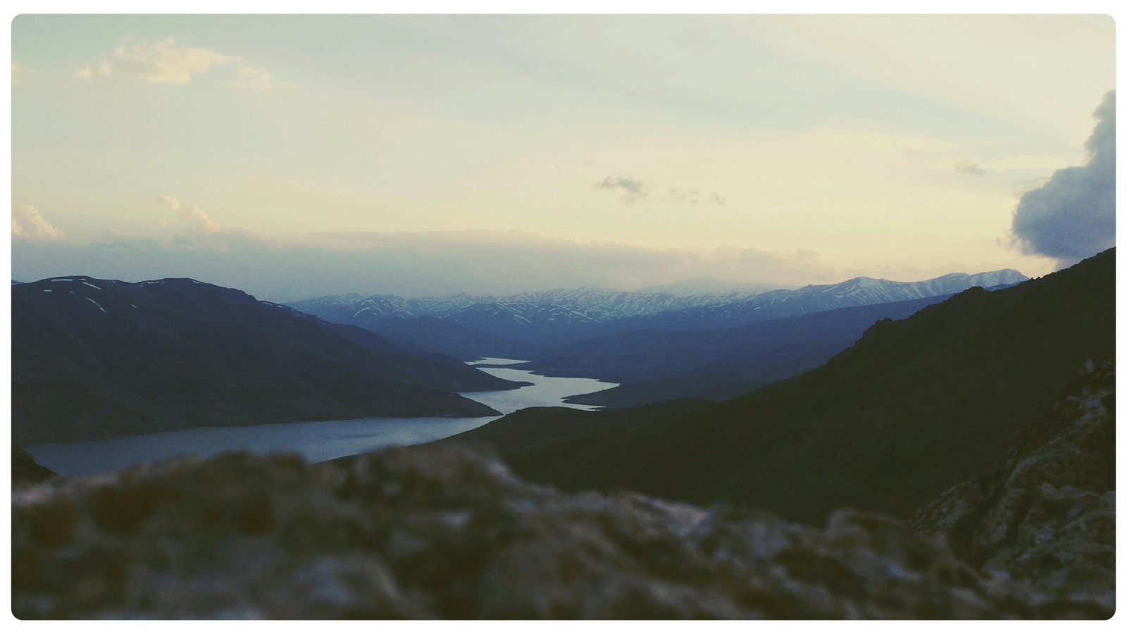 The Future of Insurance: Talent, Technology, and AI