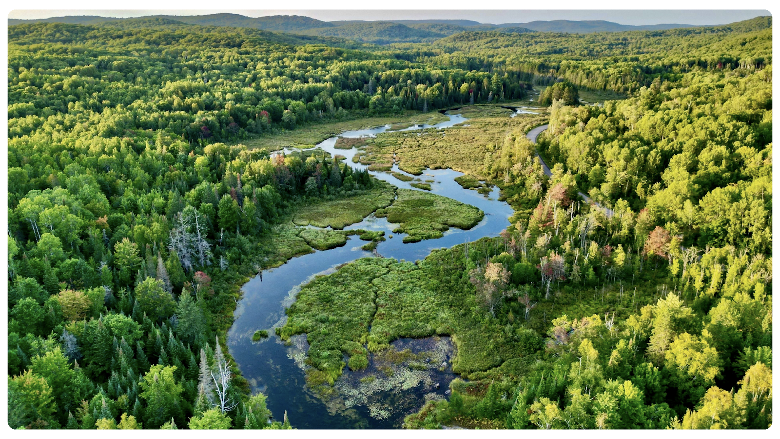 Insurance Customer Relationship Management: Why Client Executives Are Stuck in Spreadsheets