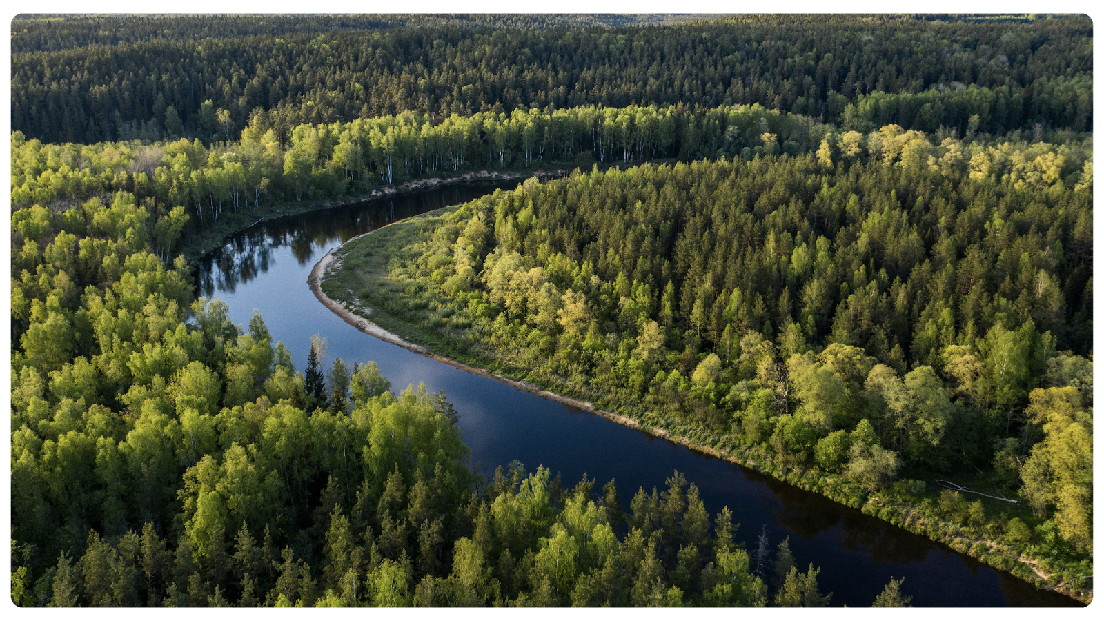 Behind the Desk: A Day in the Life of an Insurance Account Manager