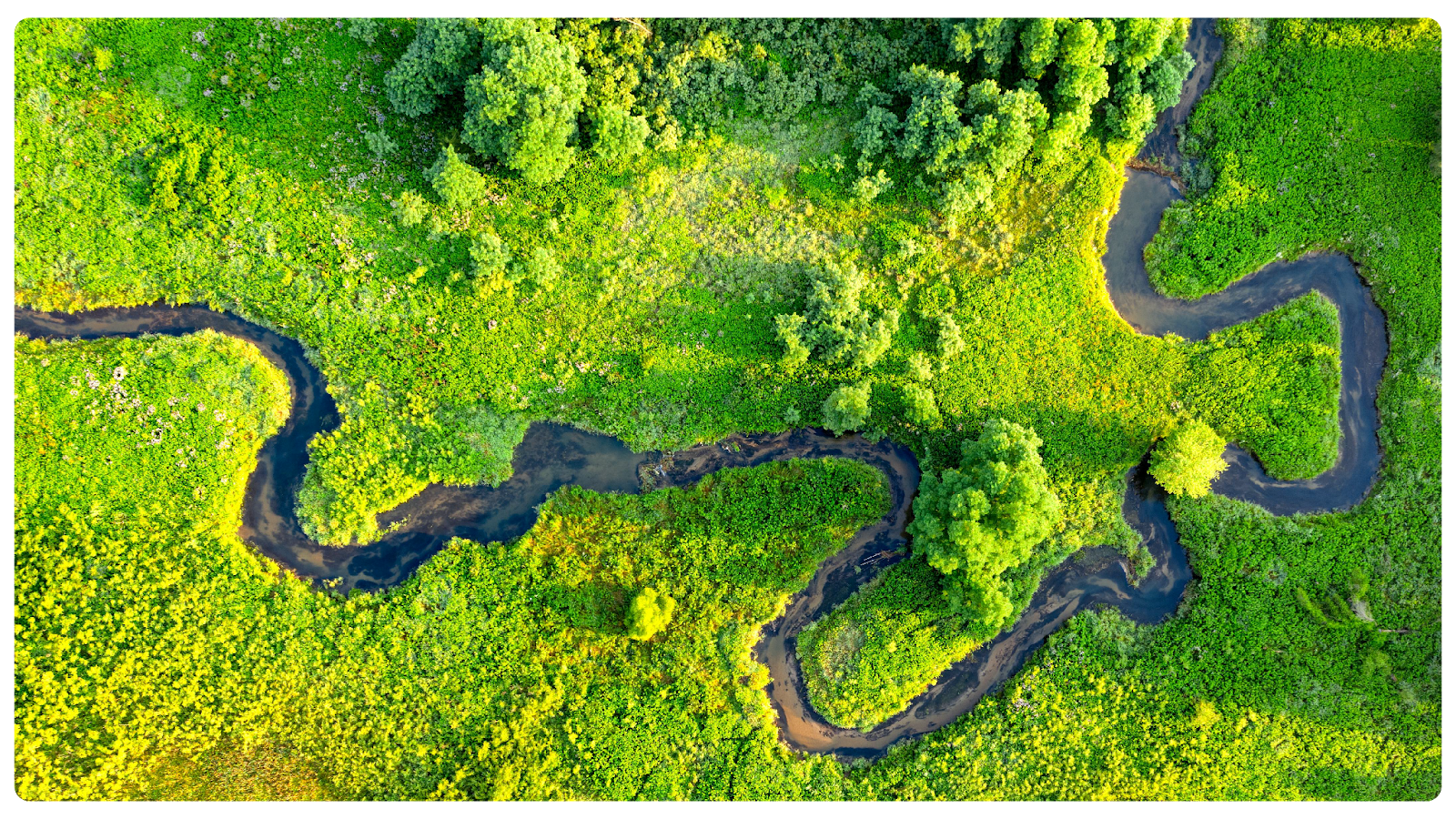 Why Insurance Agency Automation Is Essential for Lean Teams in 2026