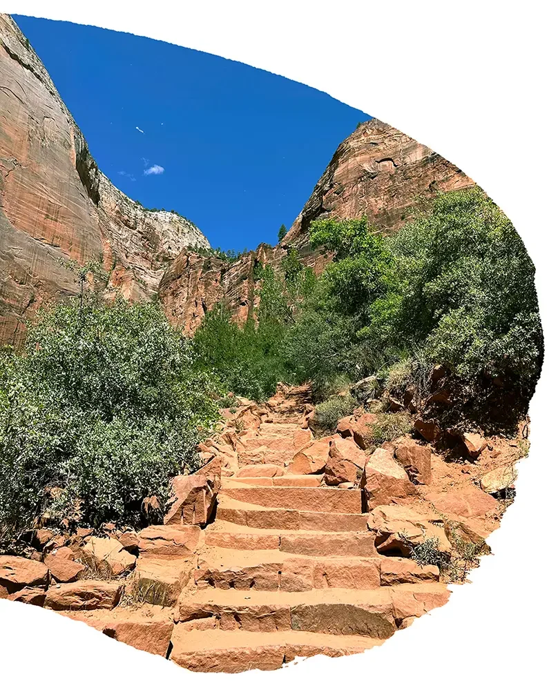 Stone steps leading up through a rocky desert landscape with green shrubs and tall cliffs under a bright blue sky