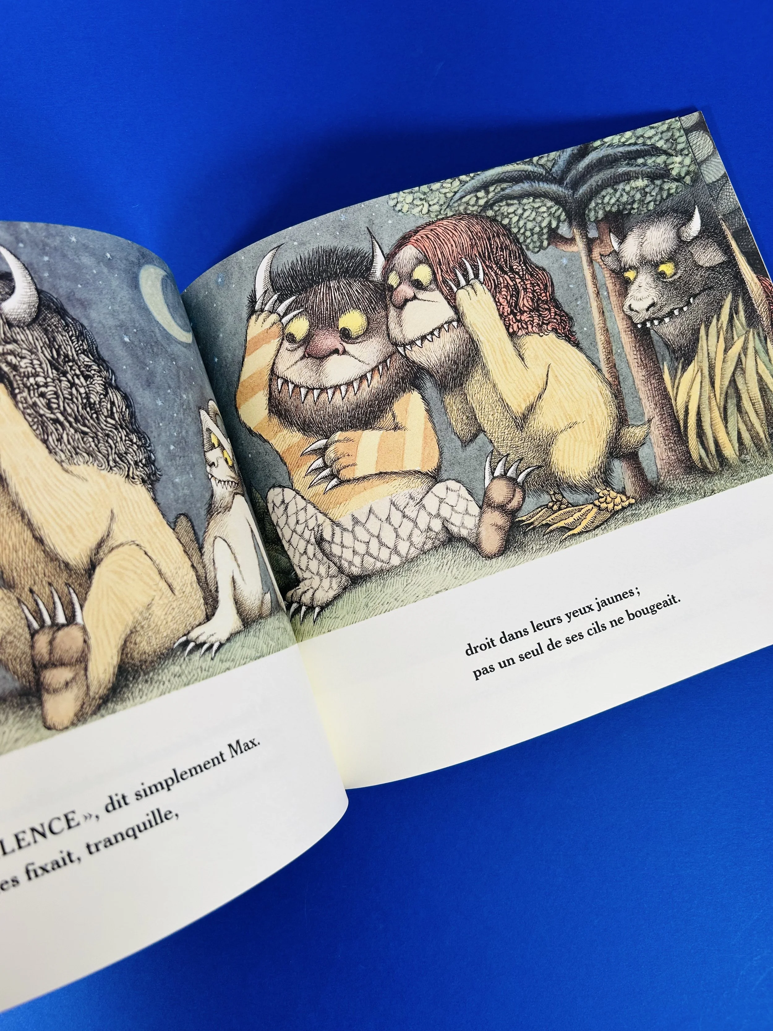 Replay kids_livre_max et les maximonstres_3.jpeg