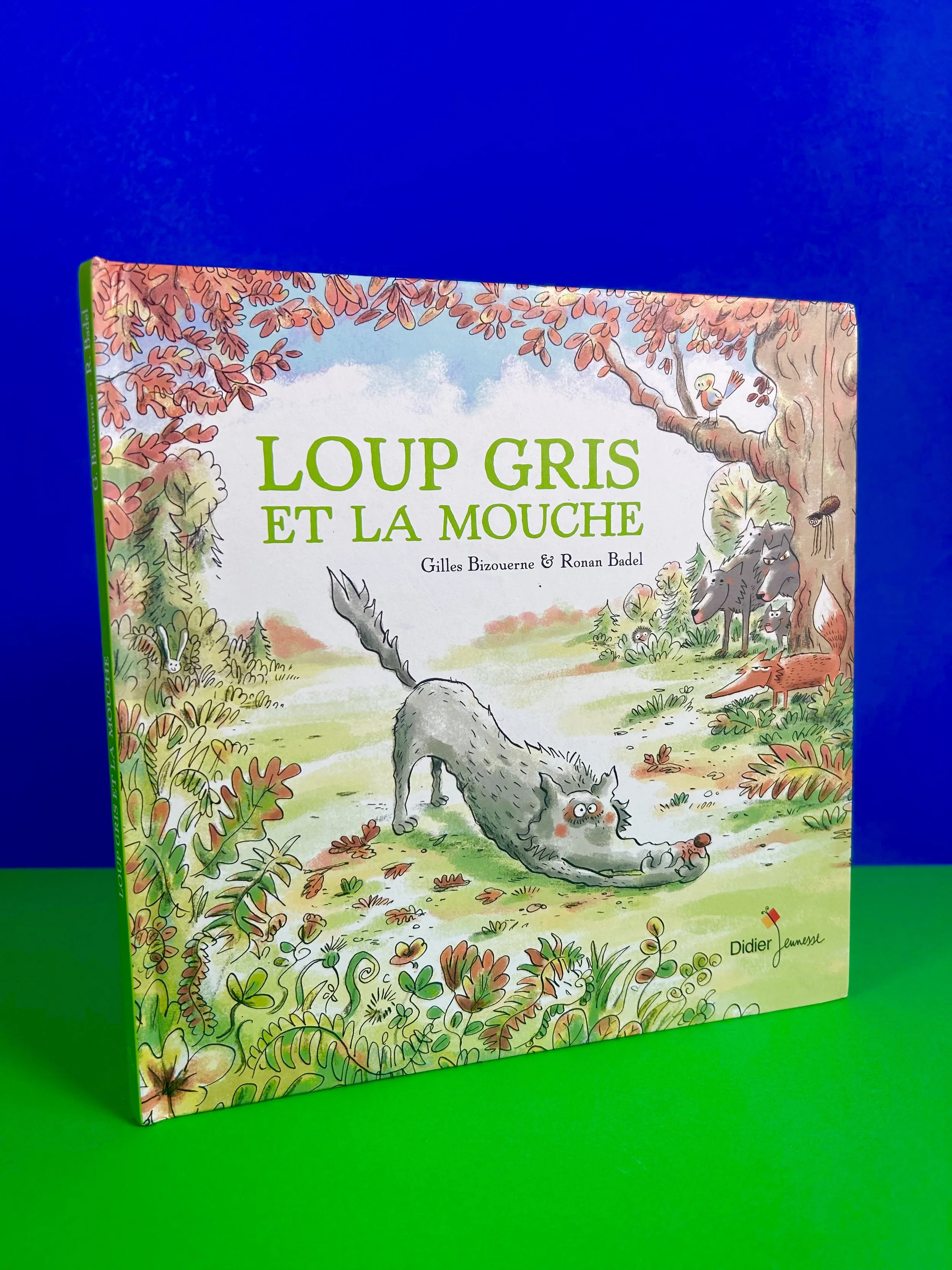 Replay kids_Loup gris et la mouche_Didier jeunesse_1.jpeg