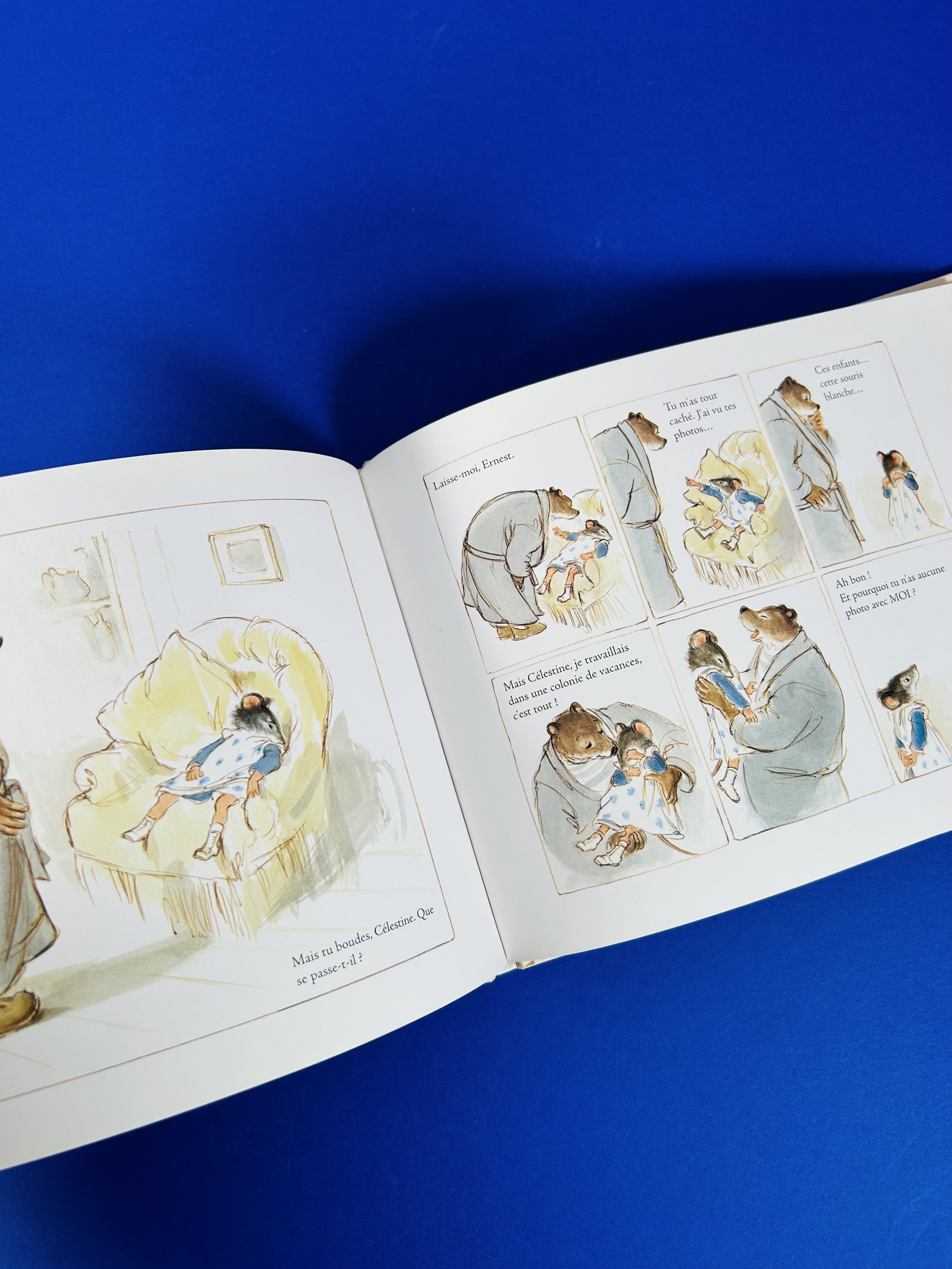 Replay kids_livre_ernest & célestine_2.jpeg