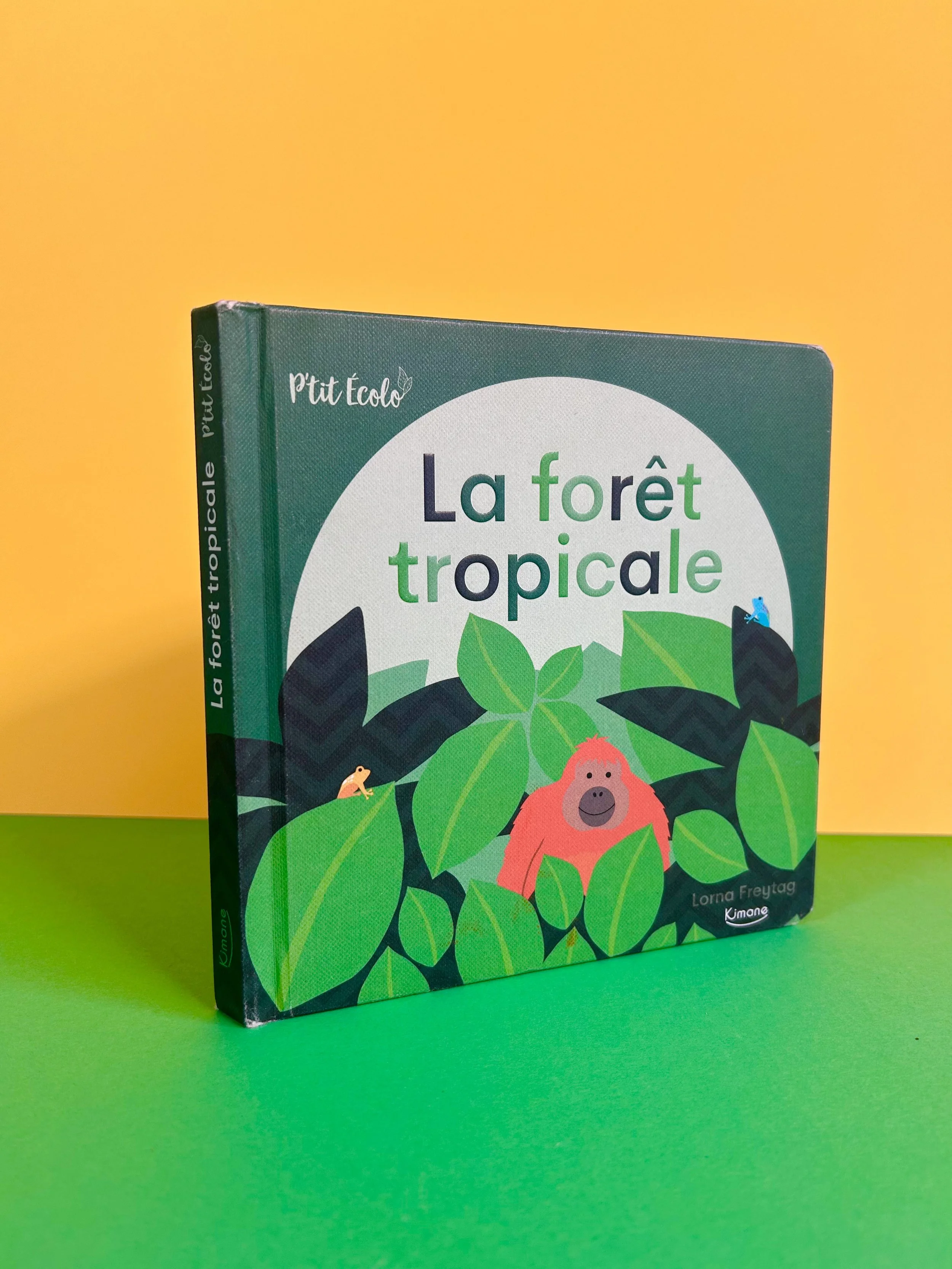Replay kids_livre_la foret tropical_p'tit écolo_1.jpeg