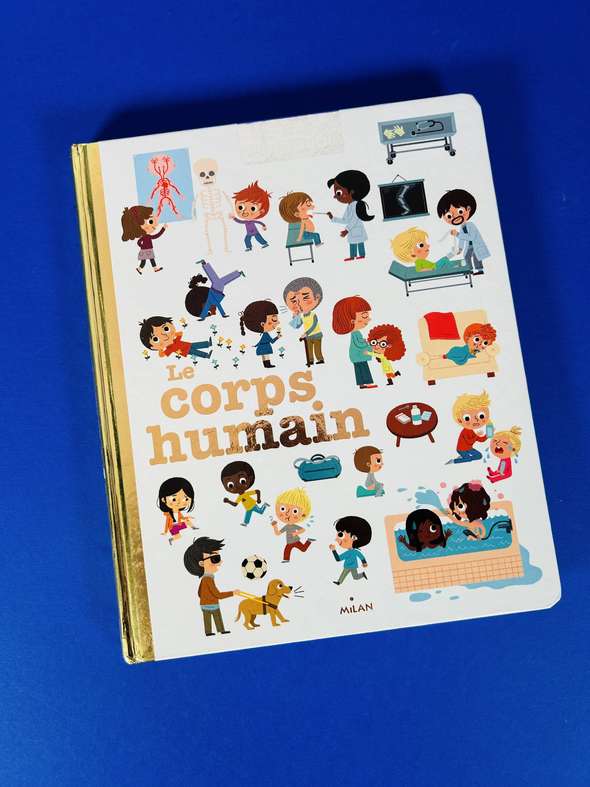 Replay kids_livre_le corps humain_1.jpeg