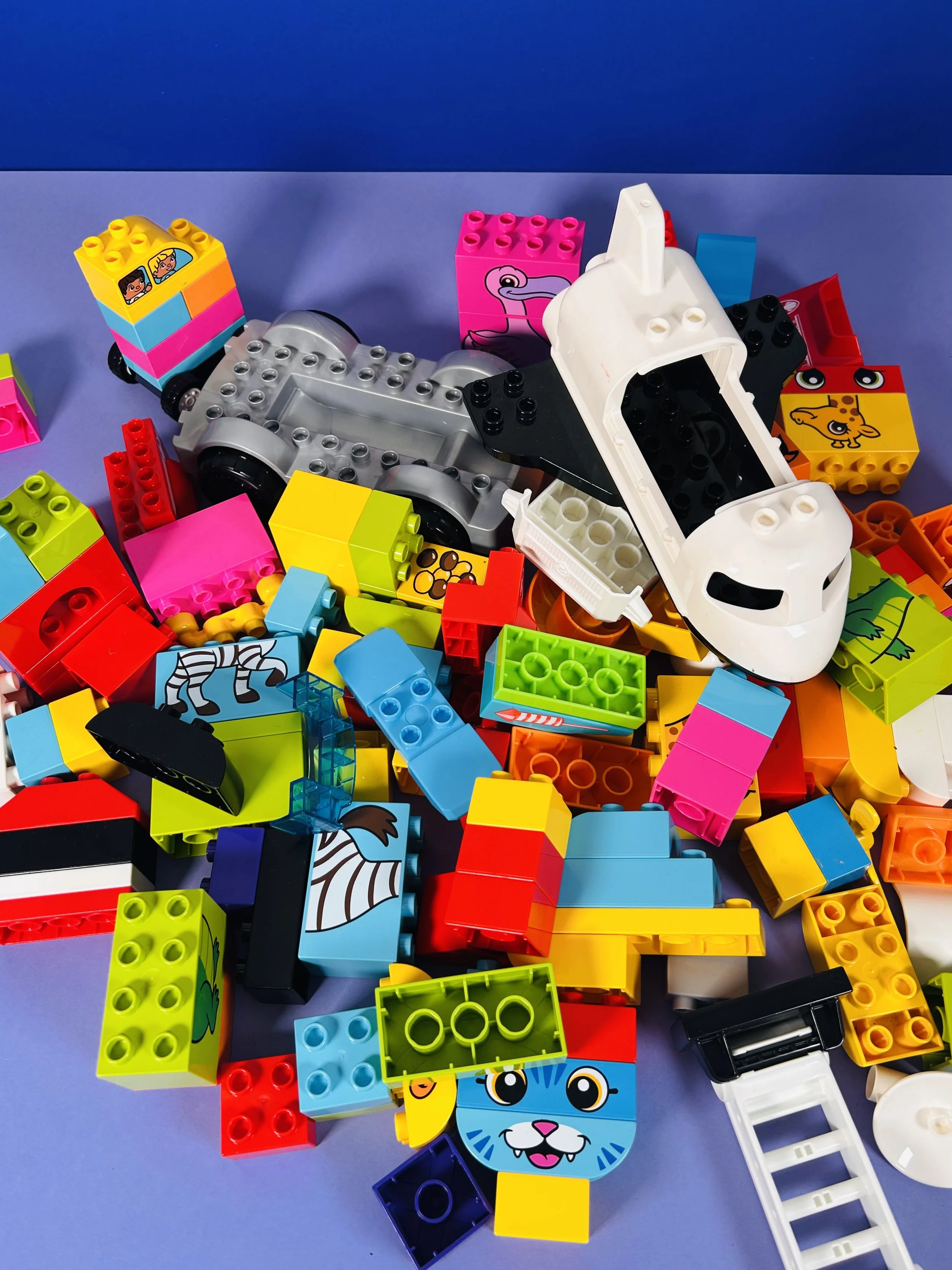 Lot Duplo + Mega Bloks