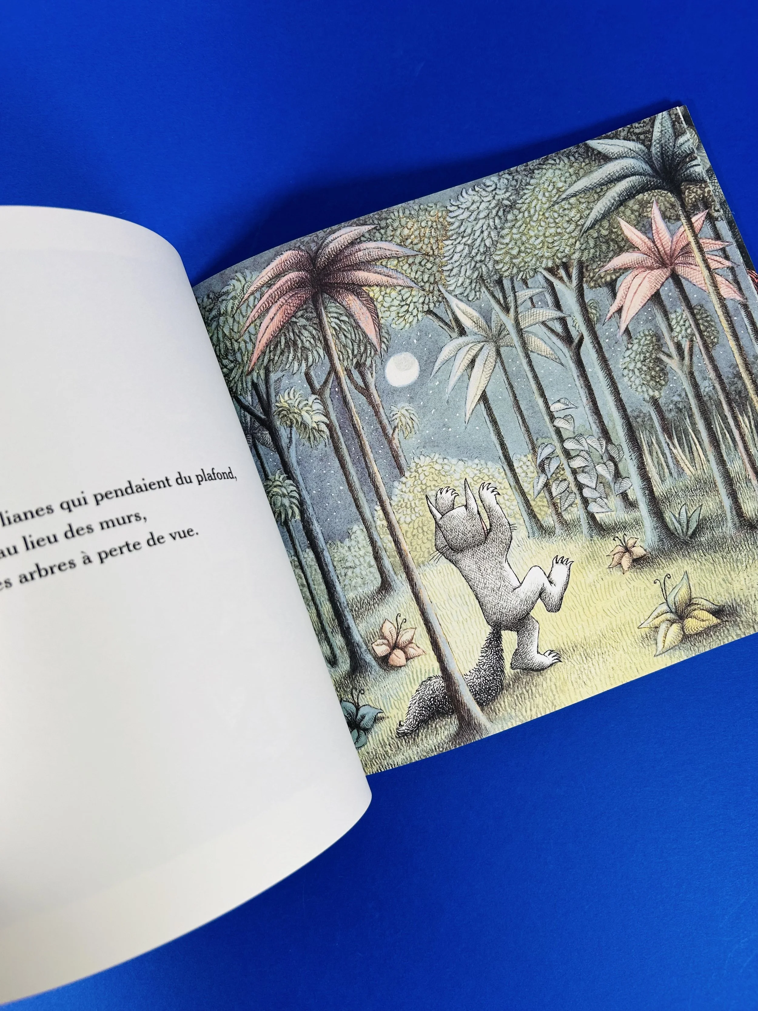 Replay kids_livre_max et les maximonstres_5.jpeg