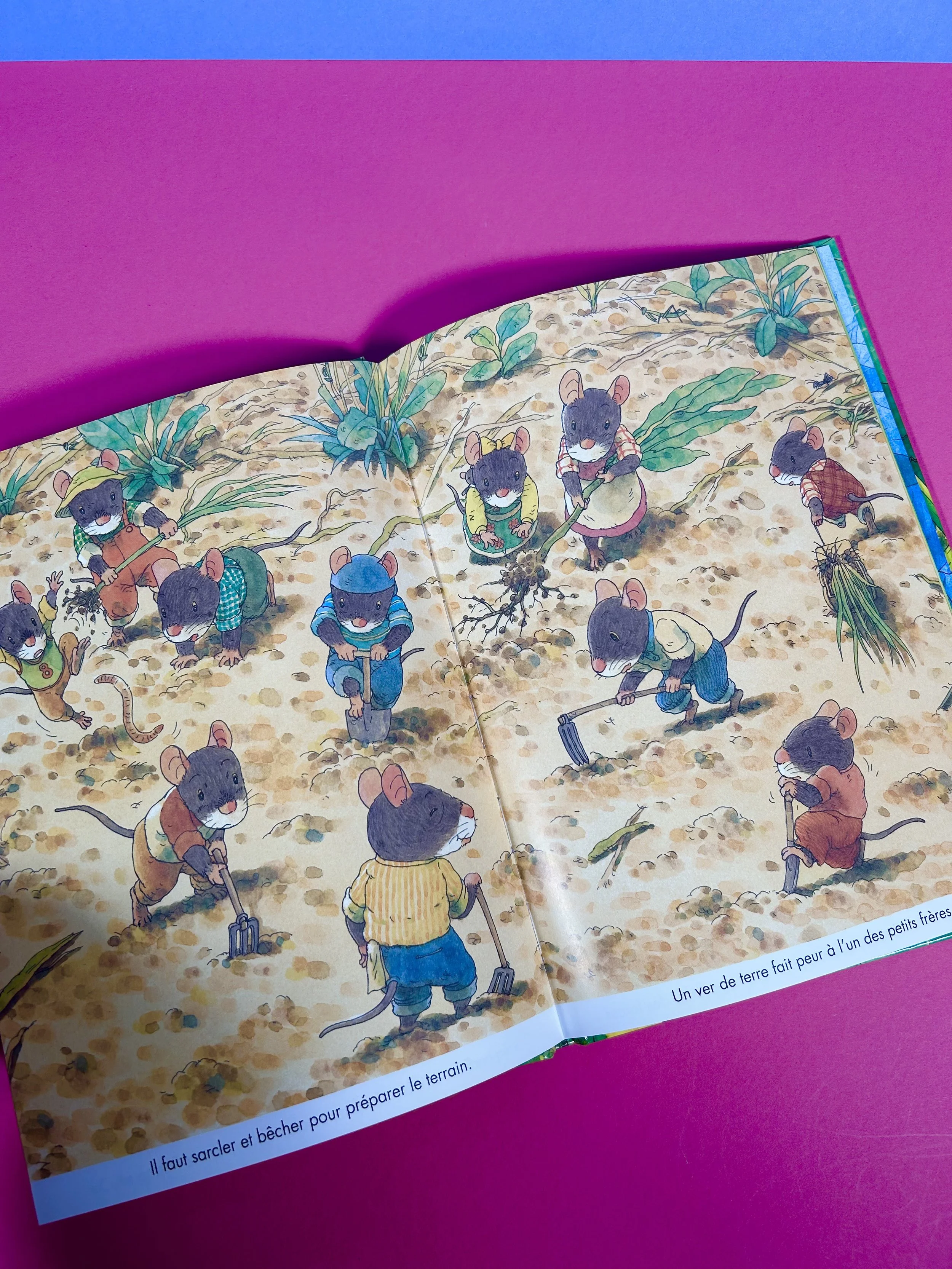 Replay kids_livre_la famille souris et le potiron_5.jpeg