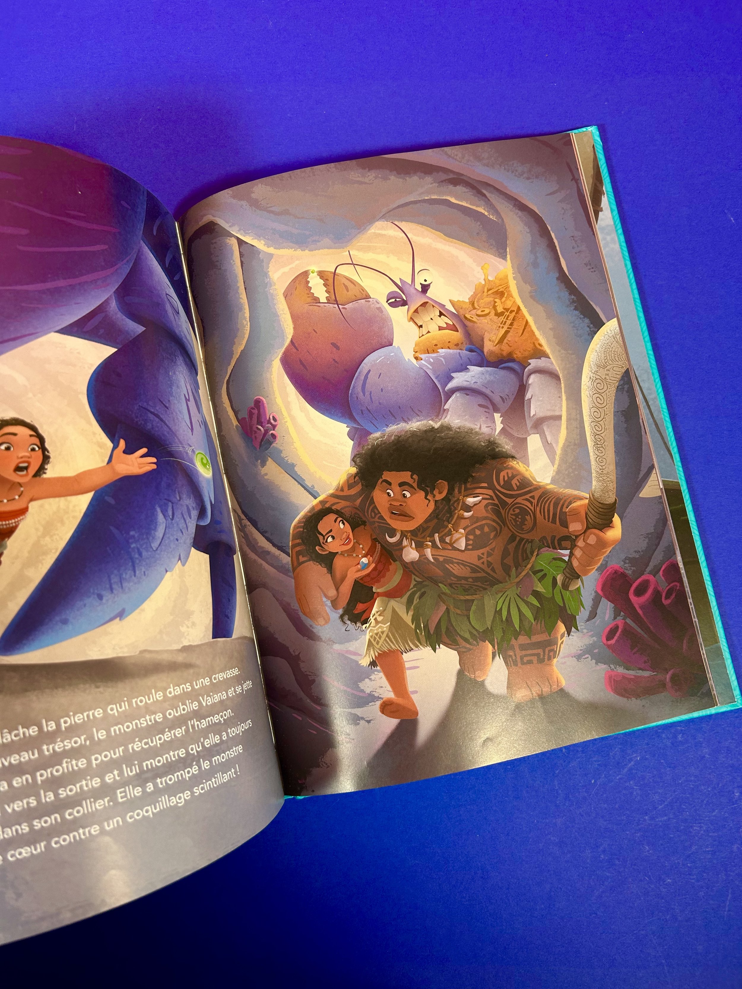Replay kids_livre_Vaiana-Disney_4.jpeg