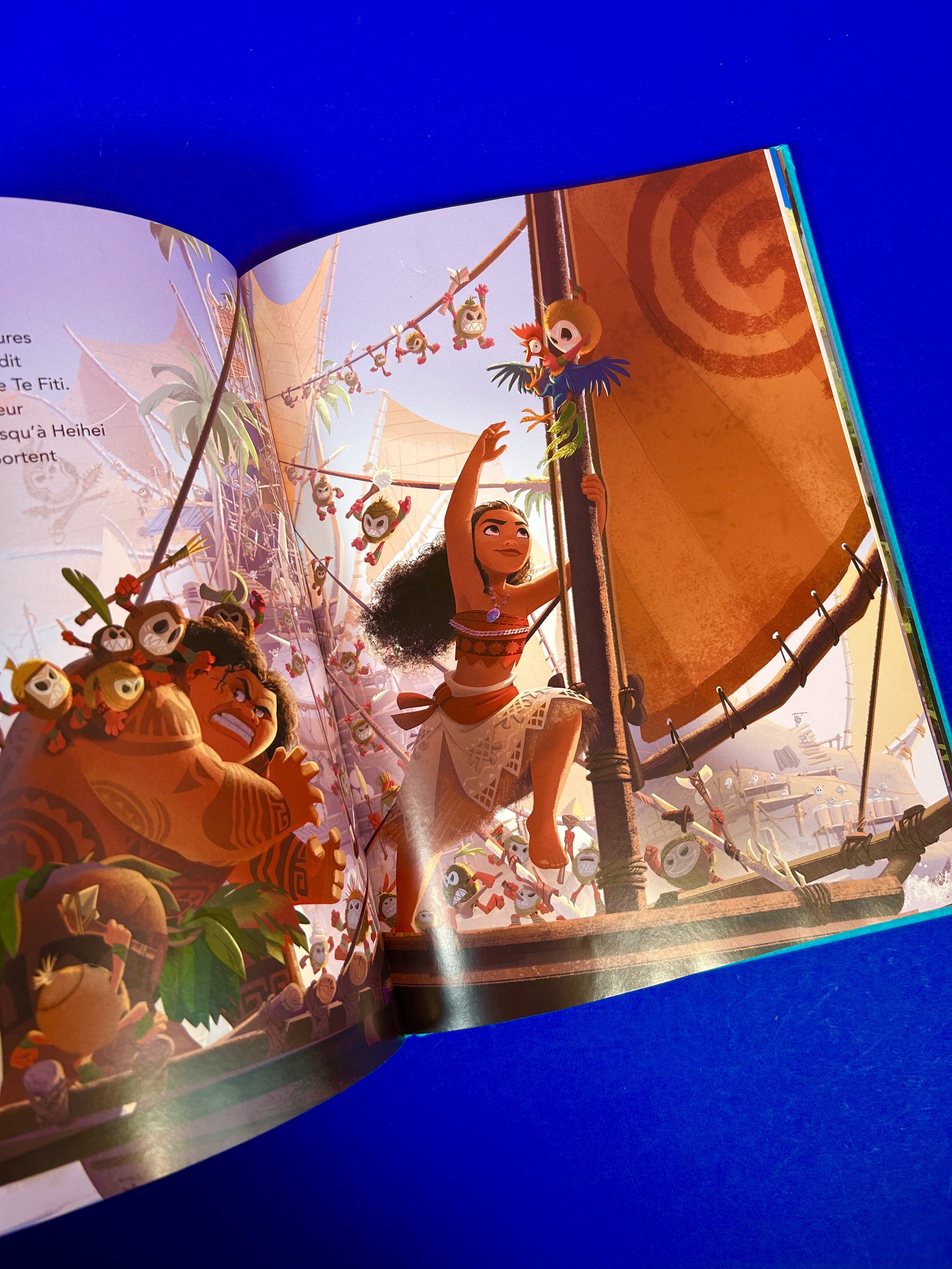 Replay kids_livre_Vaiana-Disney_3.jpeg