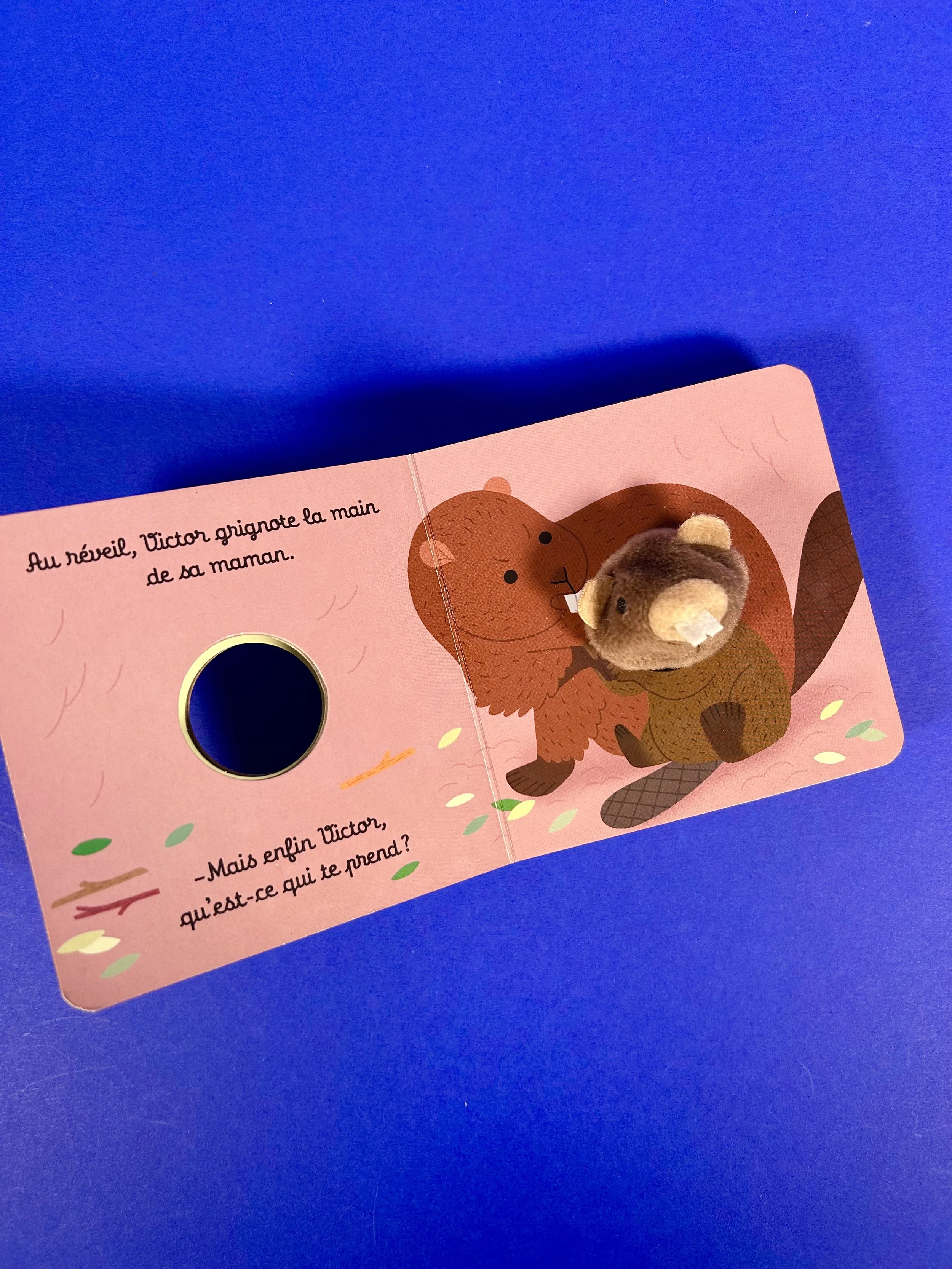 Replay kids_livre_victor le castor_2.jpeg