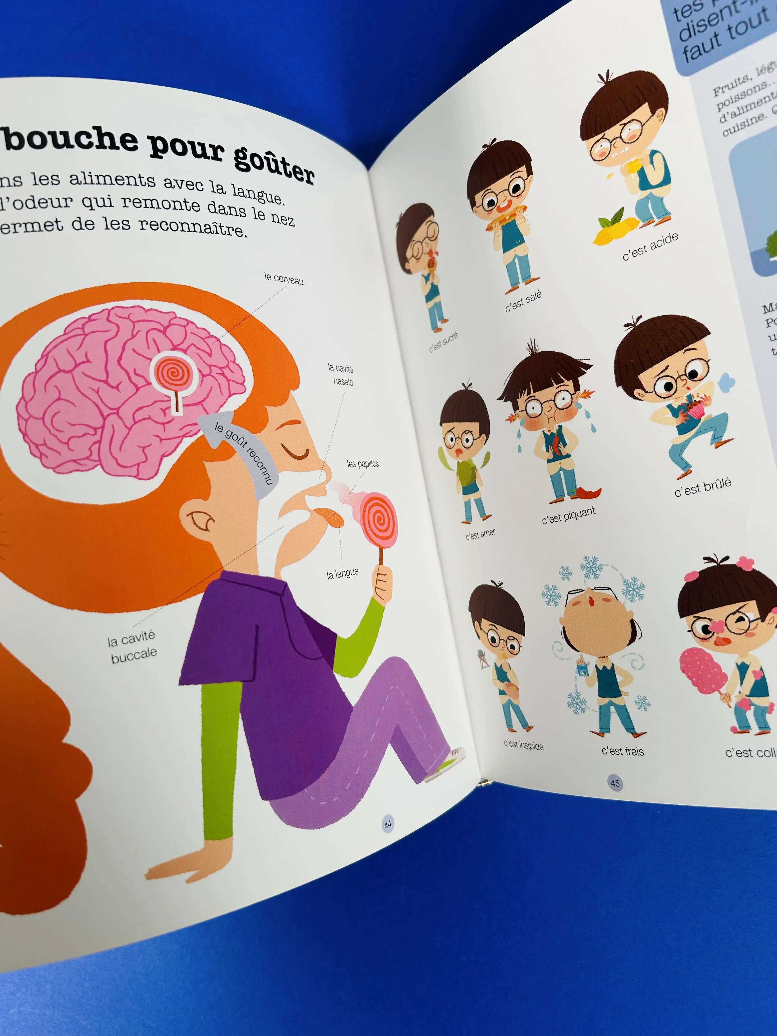 Replay kids_livre_le corps humain_5.jpeg