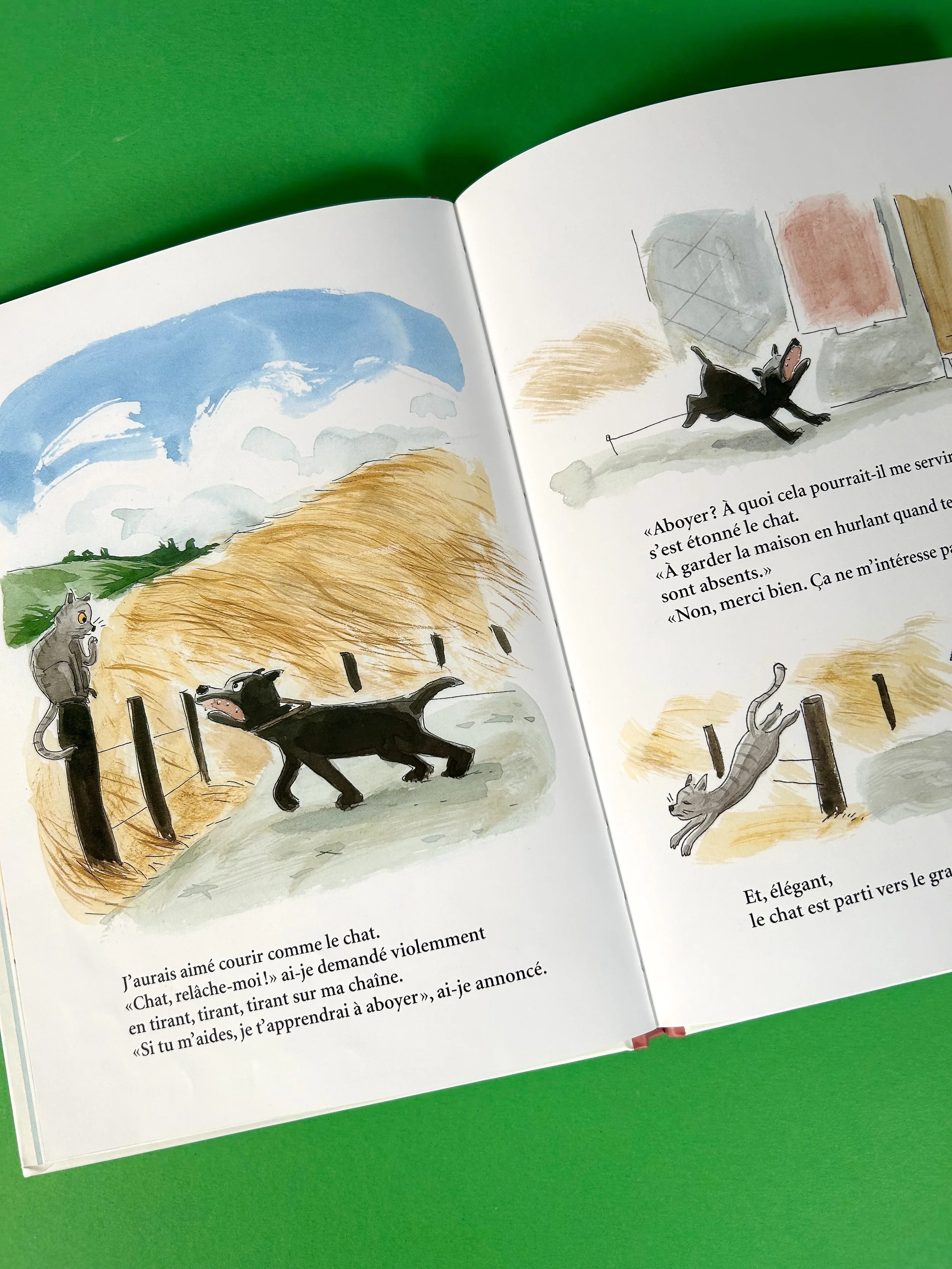 Replay kids_hortensia_5.jpeg