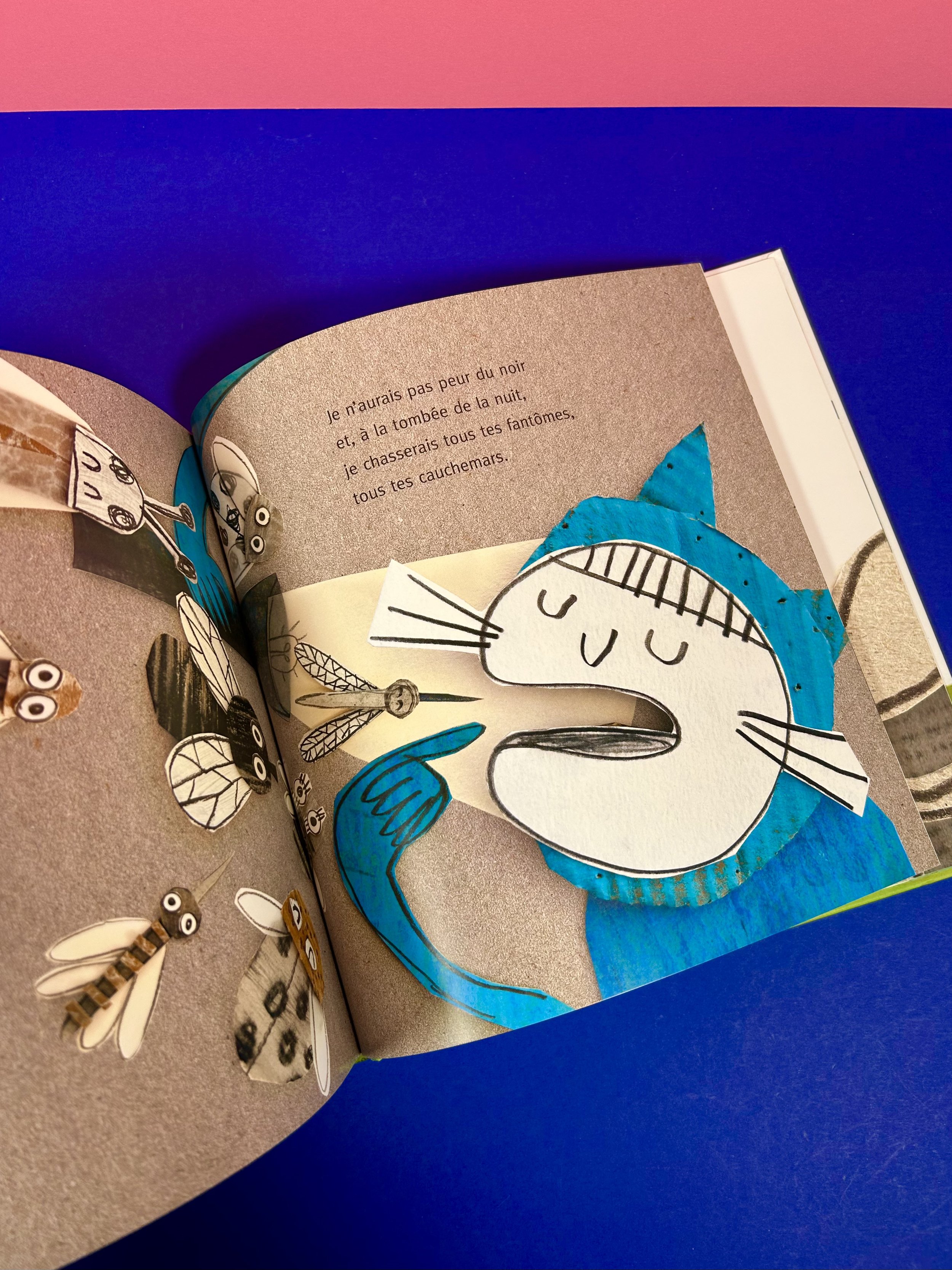 Replay kids_livre_Si j'étais un chat_5.jpeg