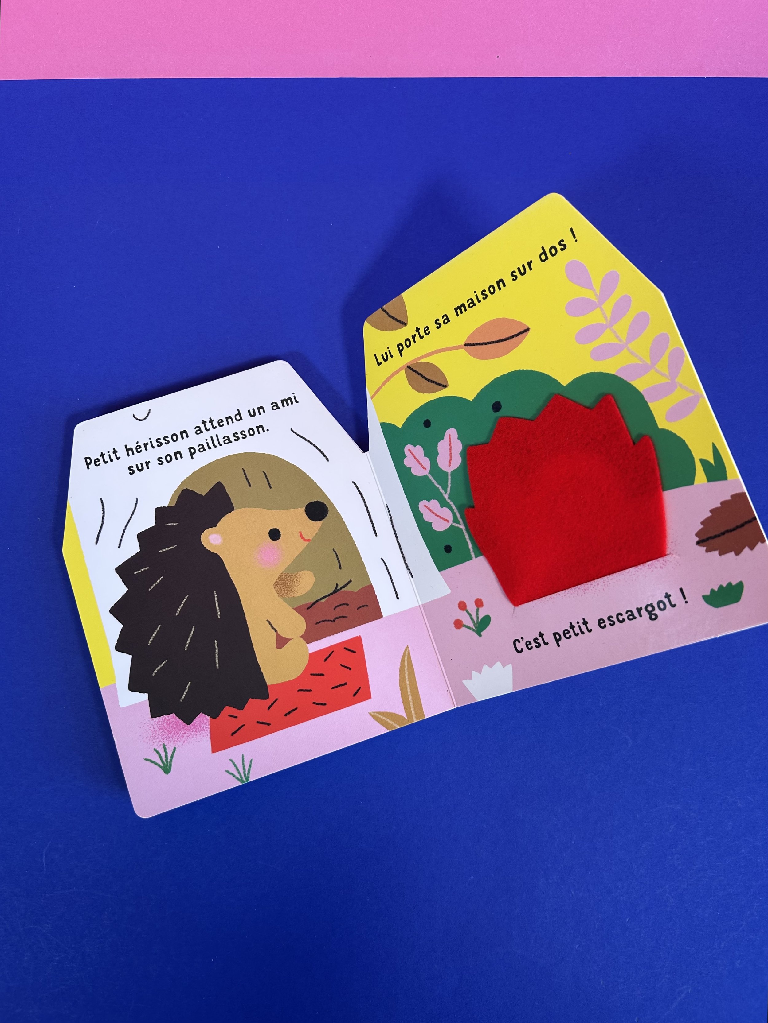 Replay kids_livre_petit hérisson_4.jpeg