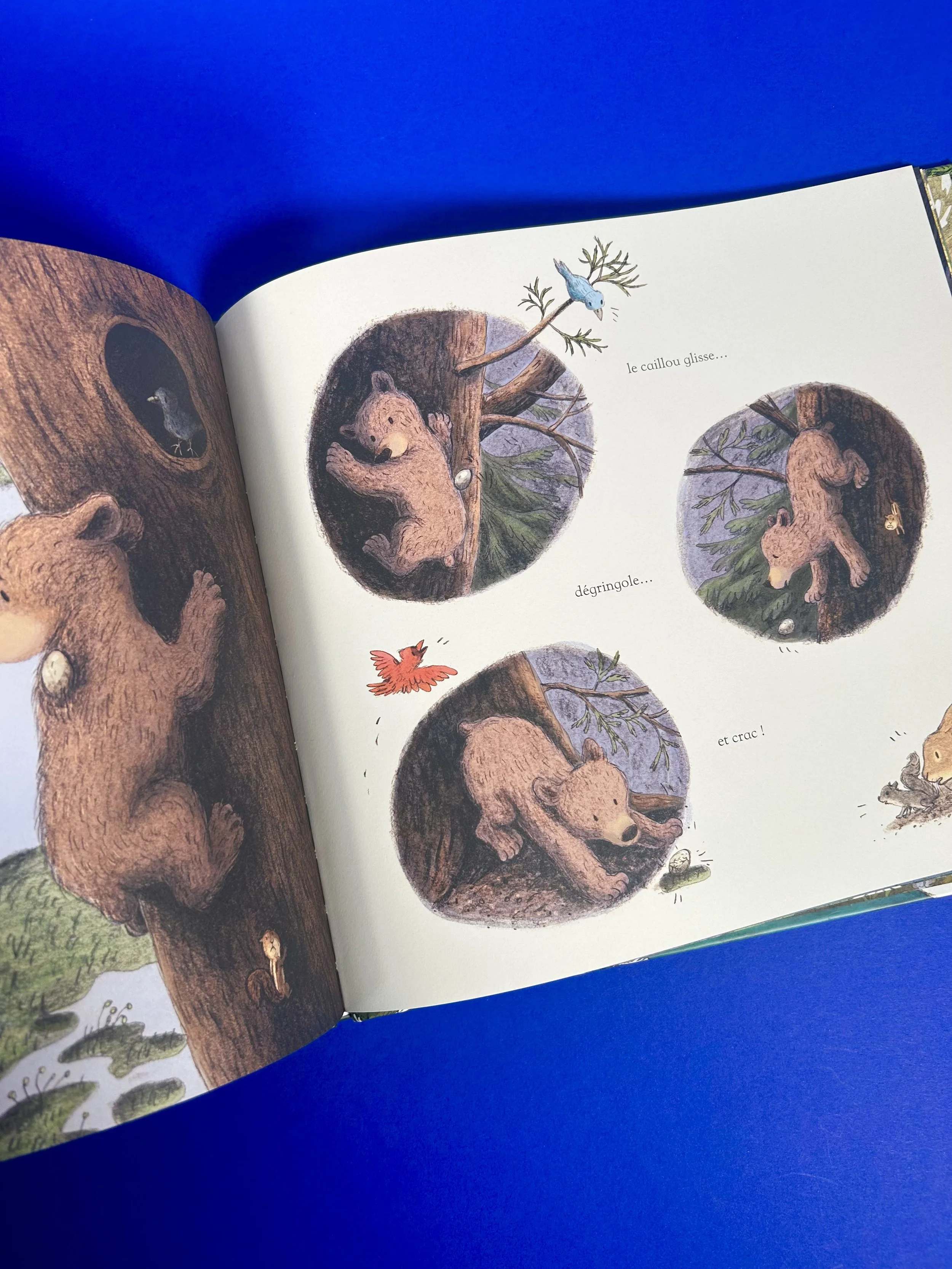 Replay kids_livre_c'est le printemps petit ours_3.jpeg