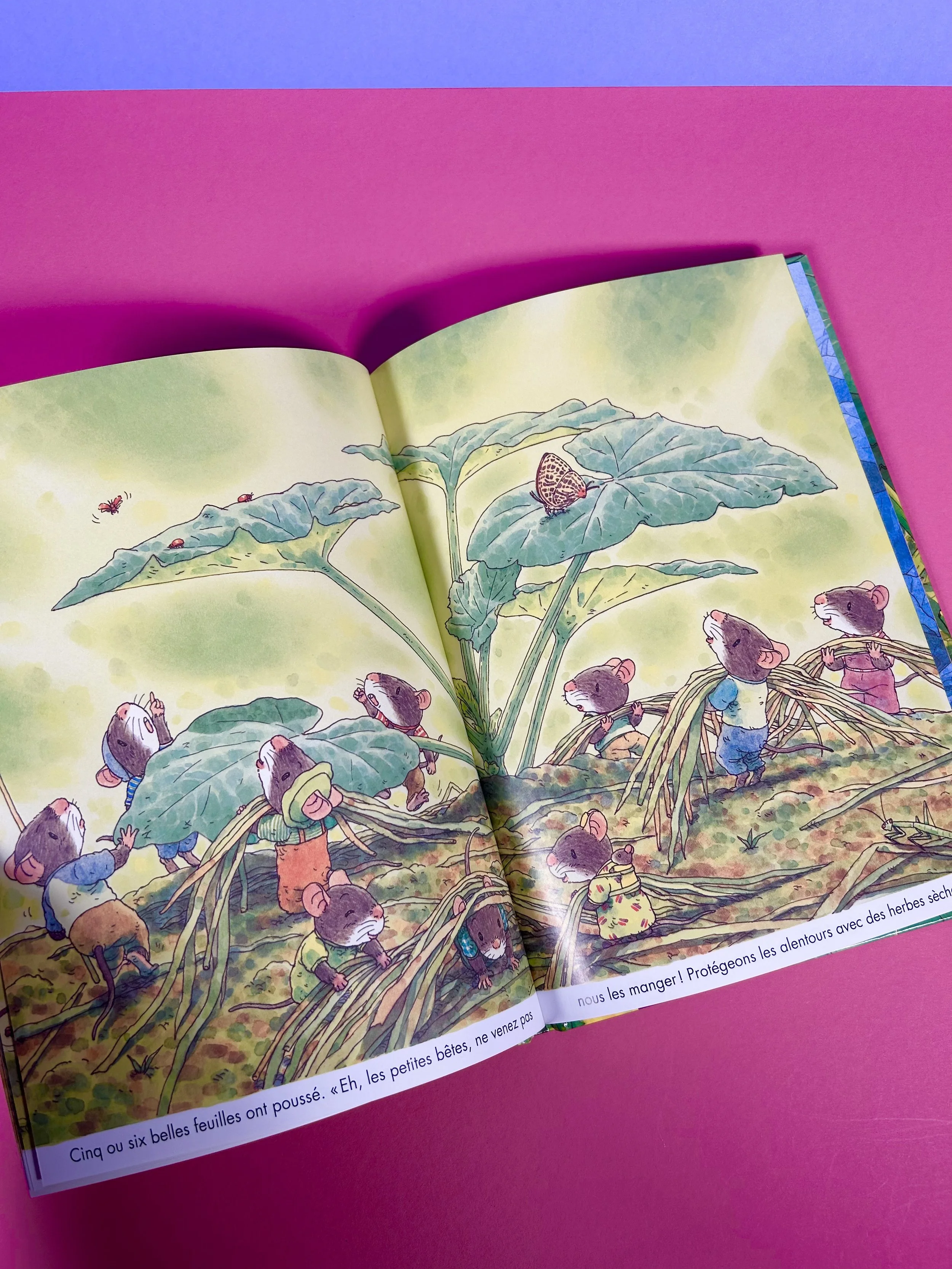 Replay kids_livre_la famille souris et le potiron_3.jpeg