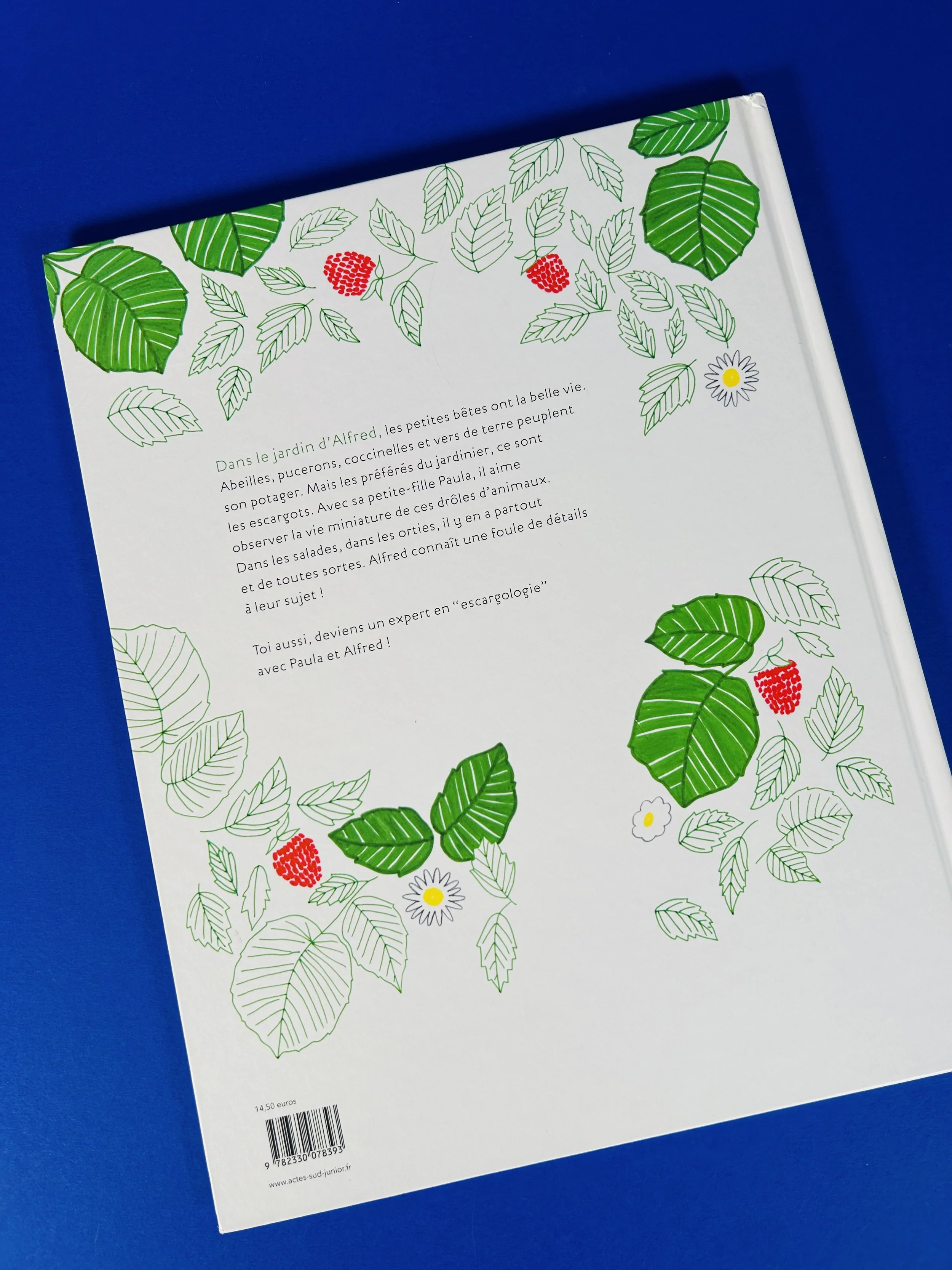 Replay kids_livre_escargots à gogo_2.jpeg