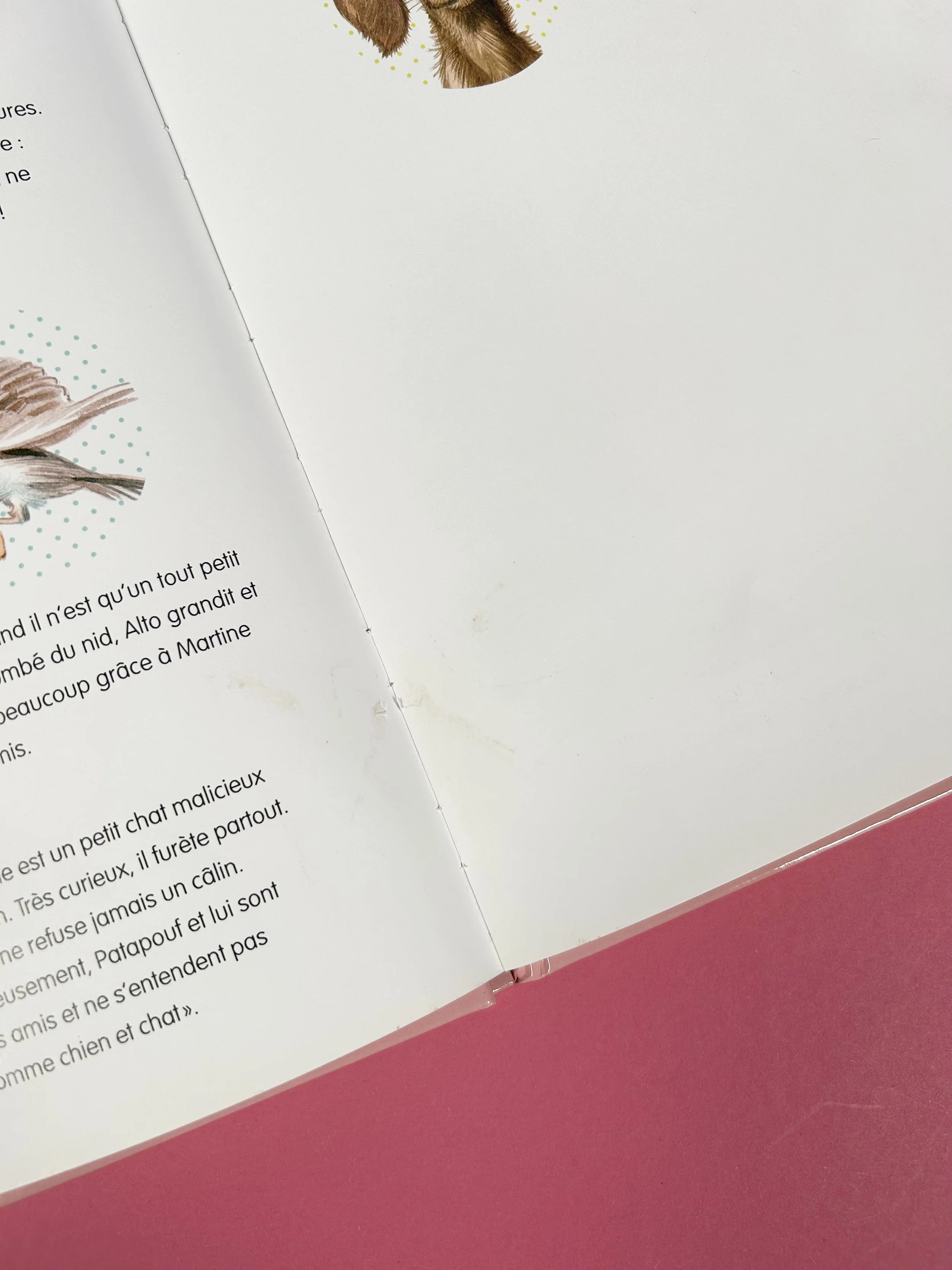 Replay kids_livre_lots de 4_martine_8.jpeg