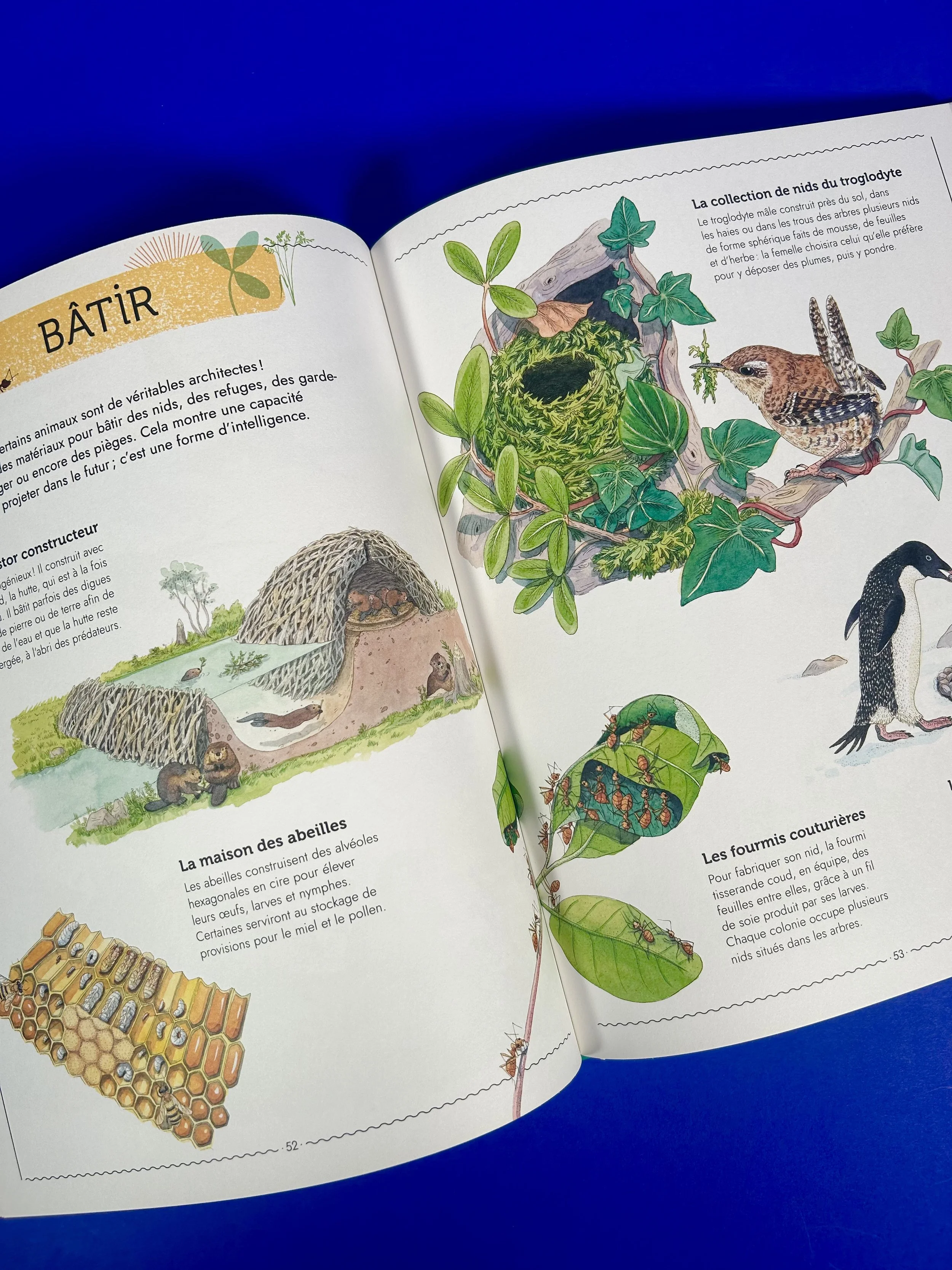 Replay kids_livre_vivre_3.jpeg