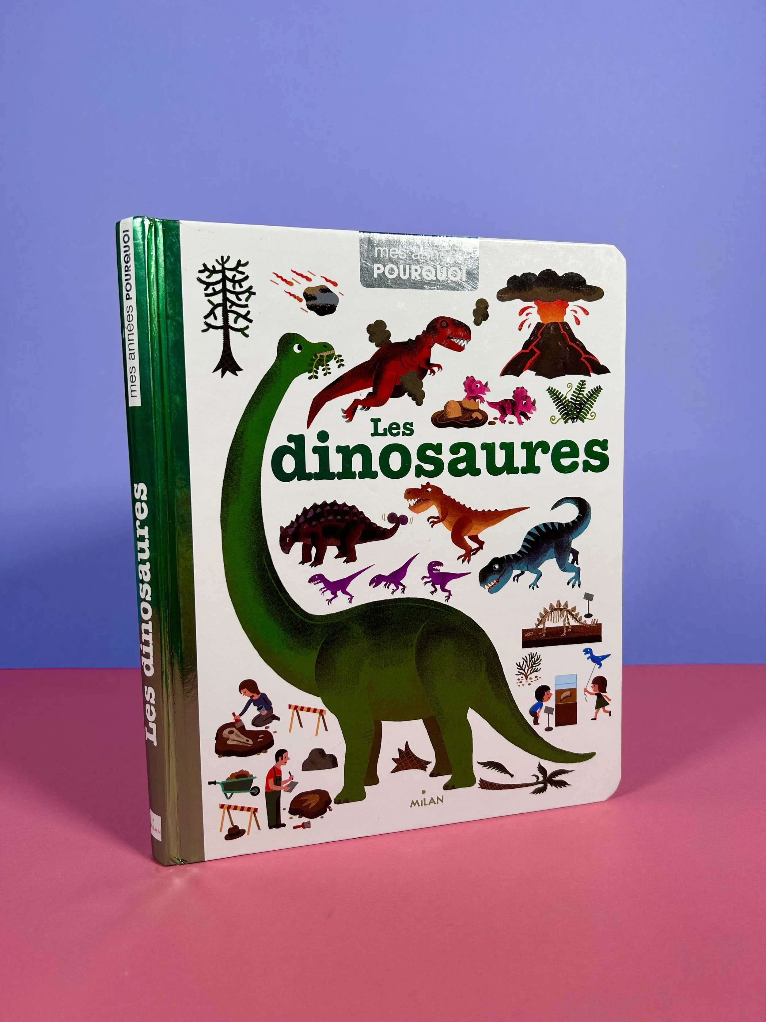 Les dinosaures - mes années pourquoi