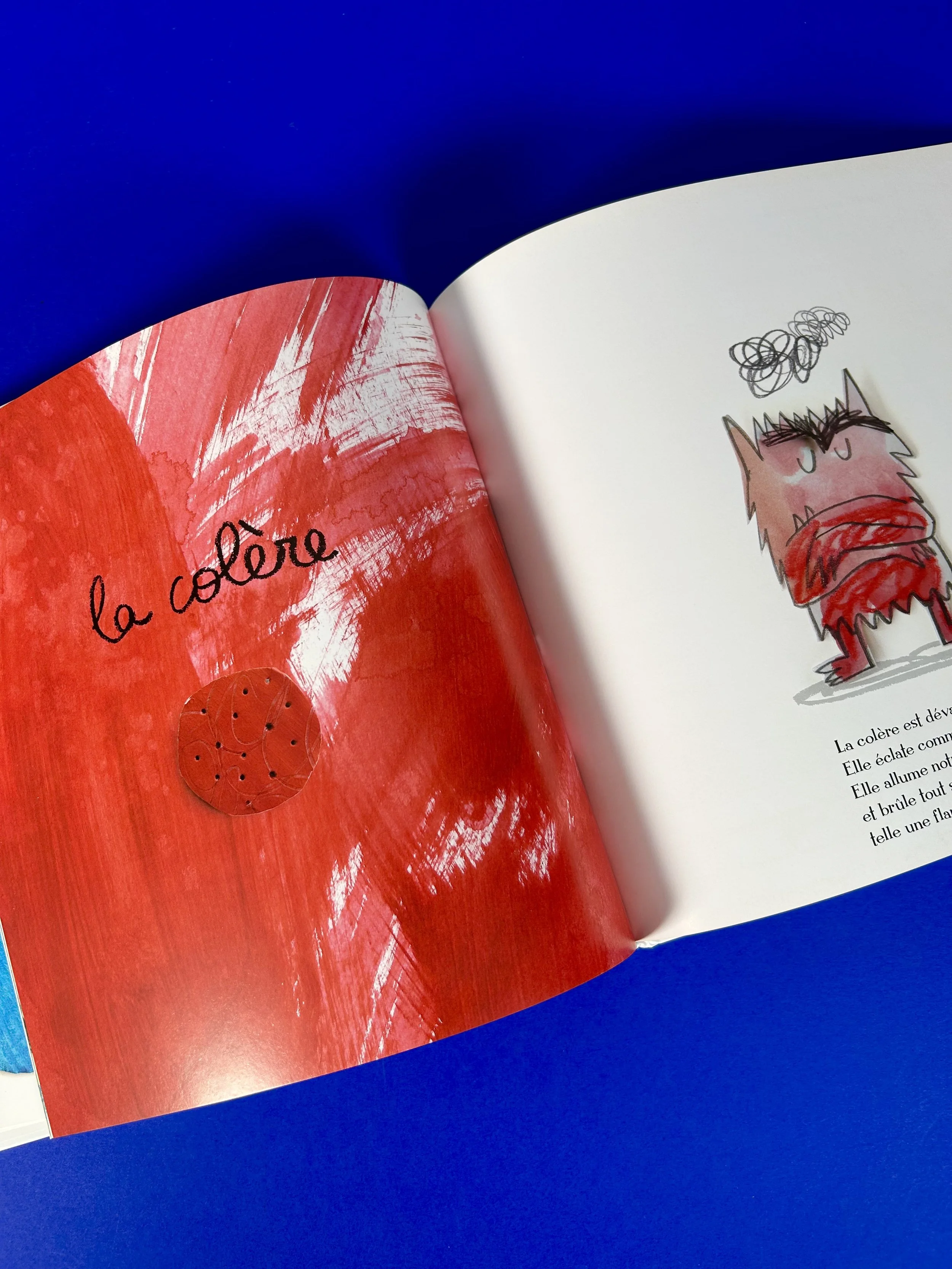 Replay kids_livre_la couleur des émotions_5.jpeg