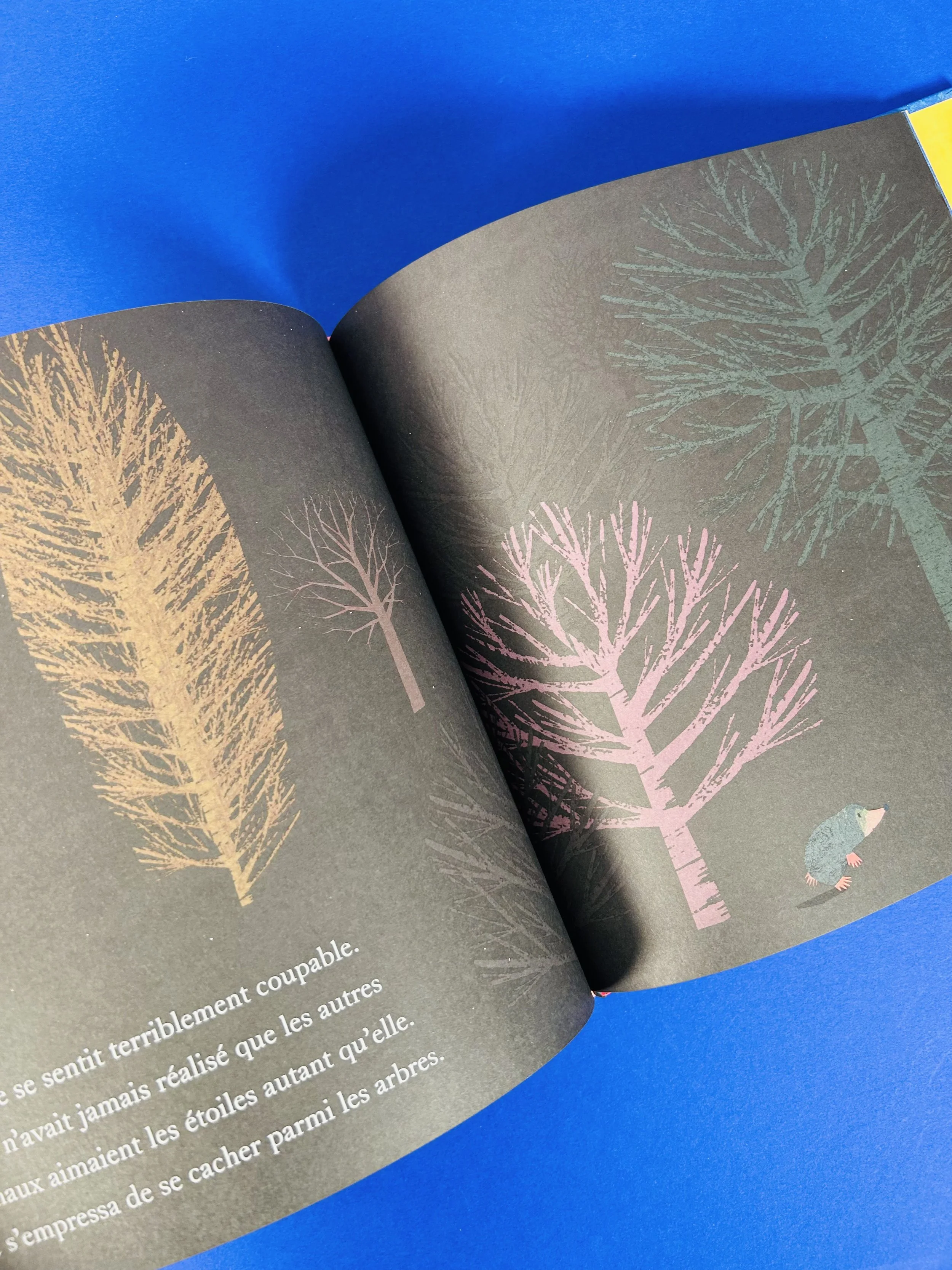 Replay kids_livre_la bonne étoile de taupe_4.jpeg