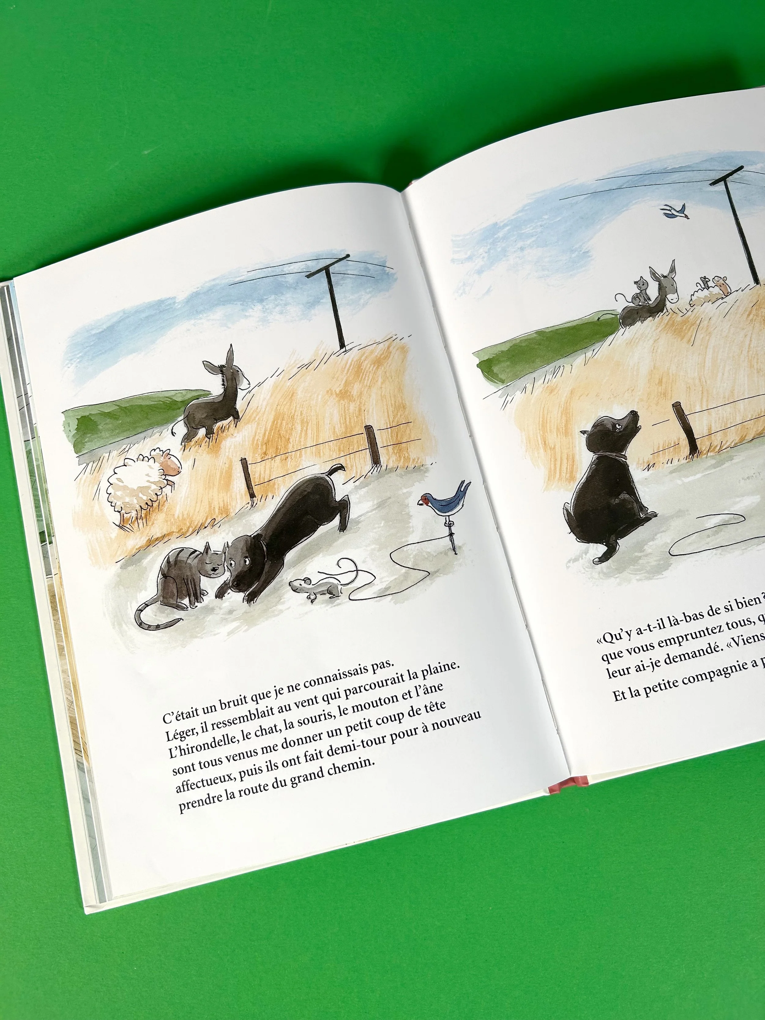 Replay kids_hortensia_2.jpeg