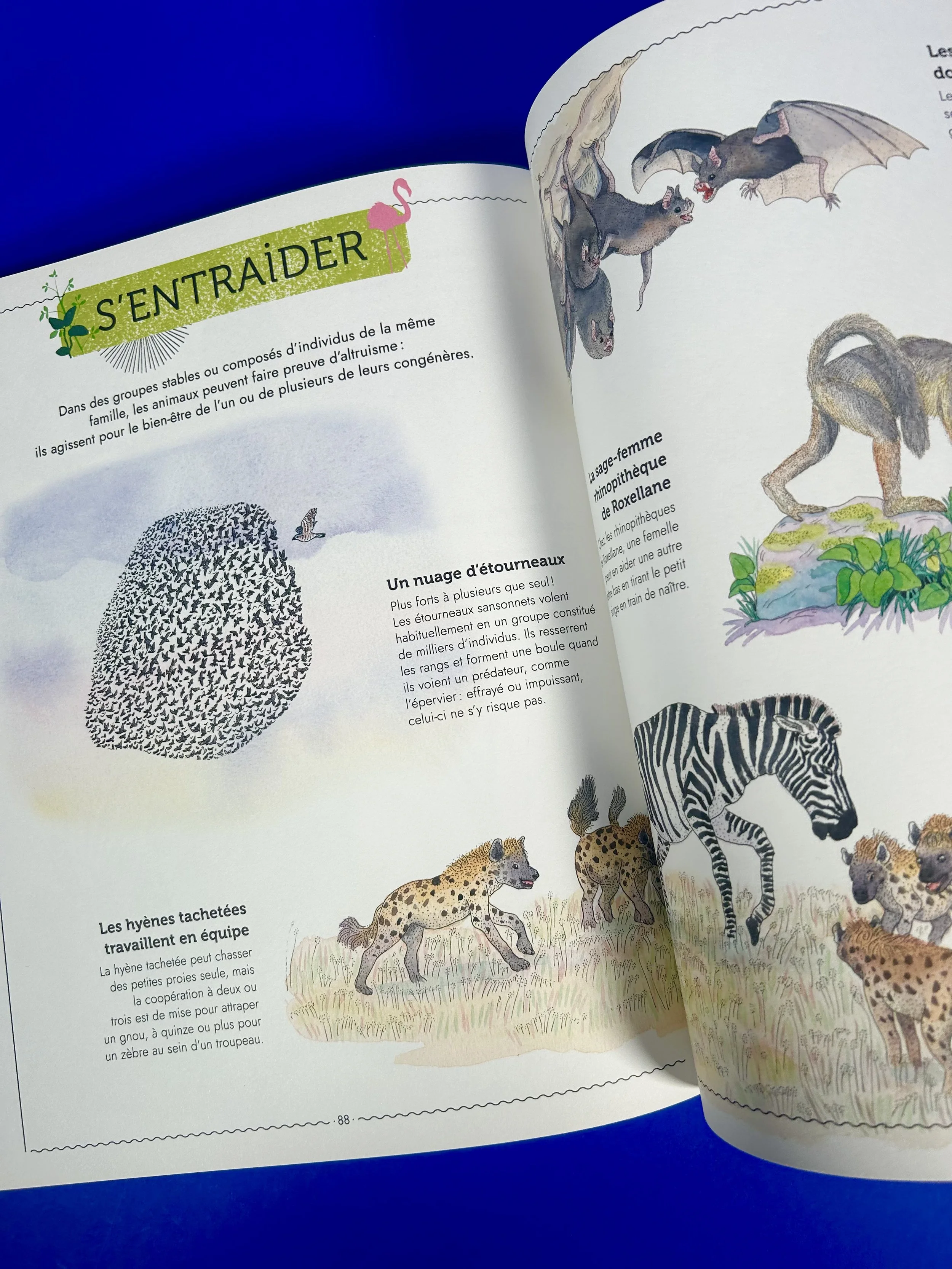 Replay kids_livre_vivre_6.jpeg