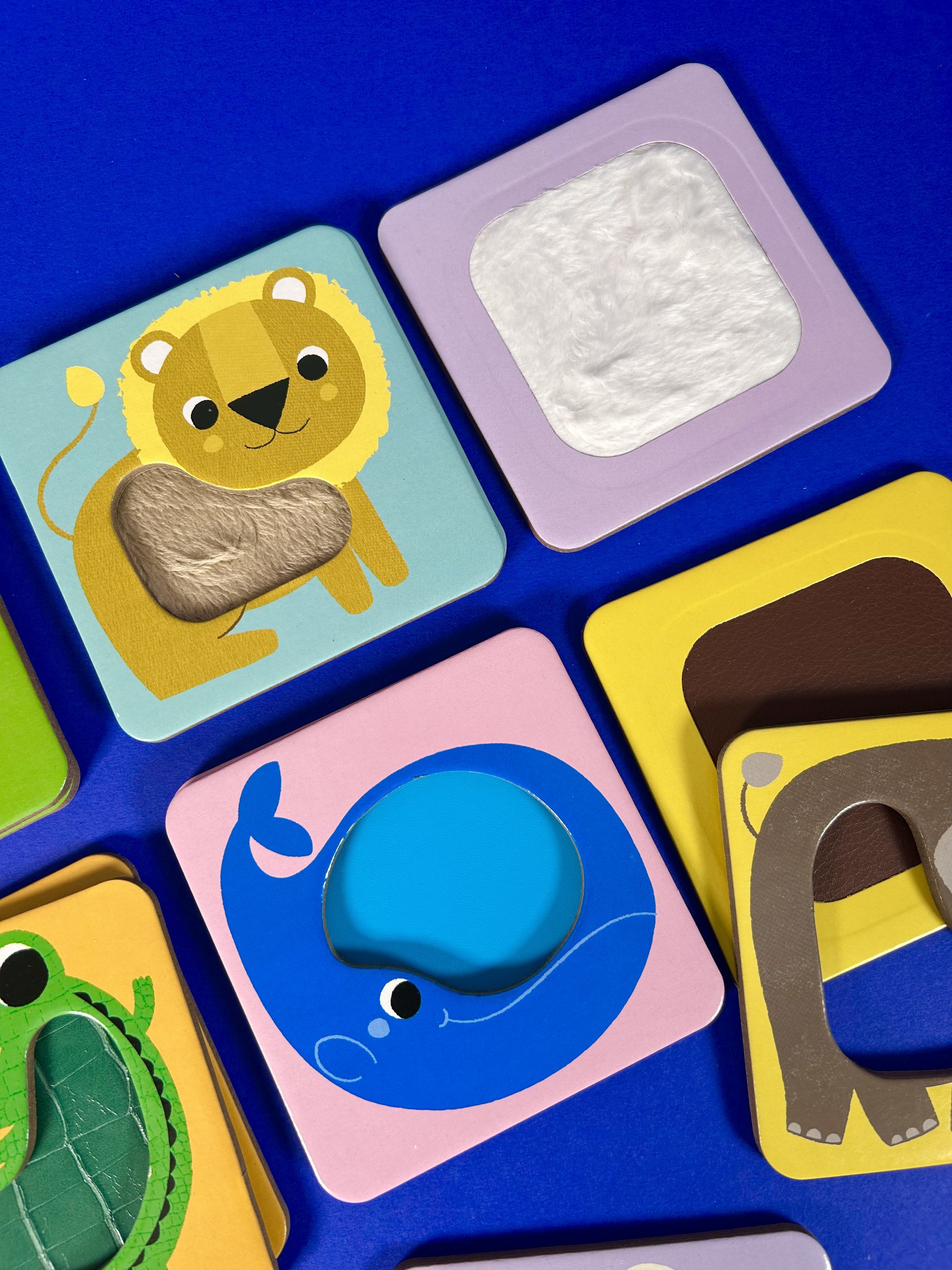 Replay kids_Les aimaux à toucher_5.jpeg