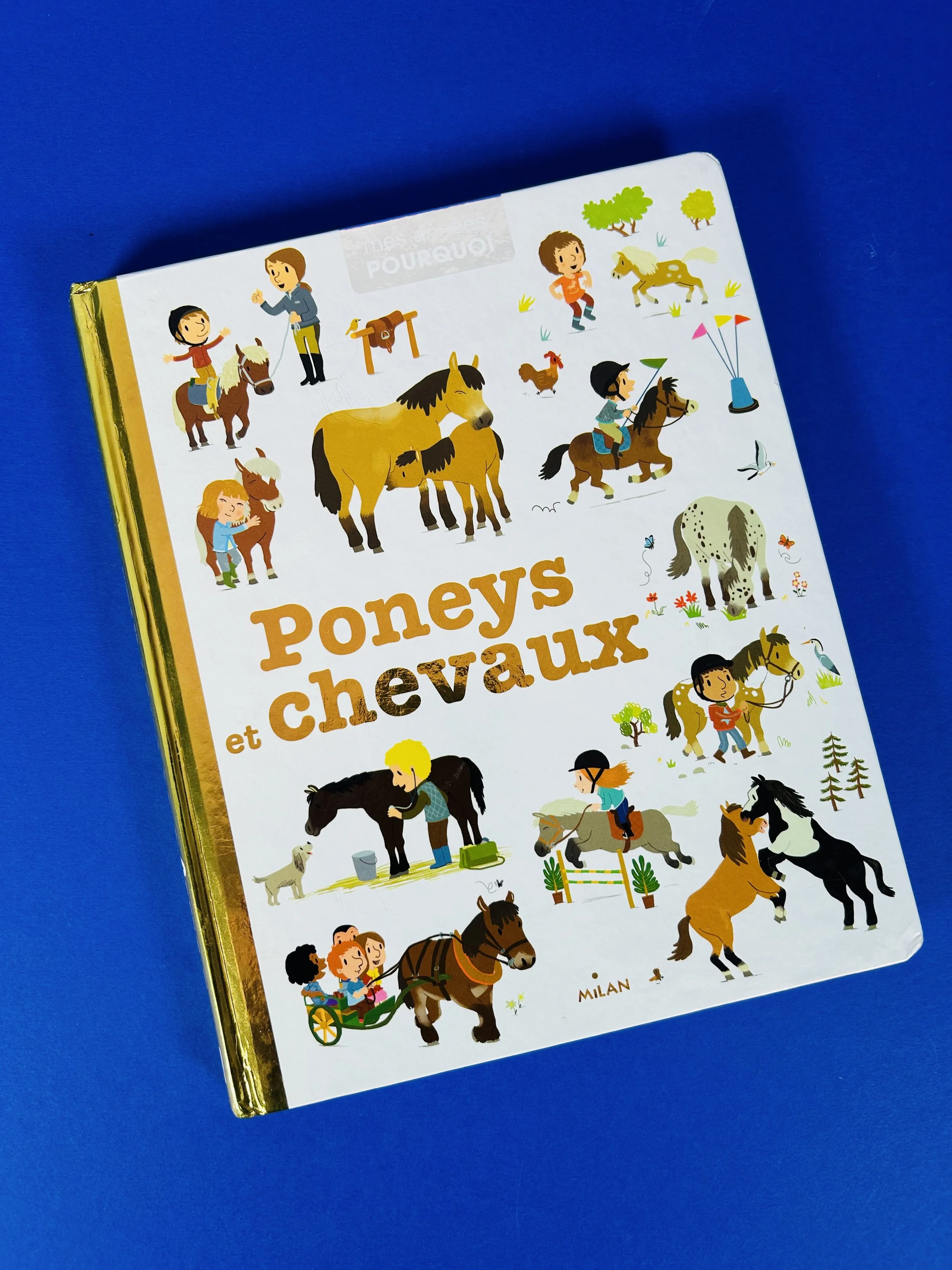 Mes années pourquoi : Poney et chevaux