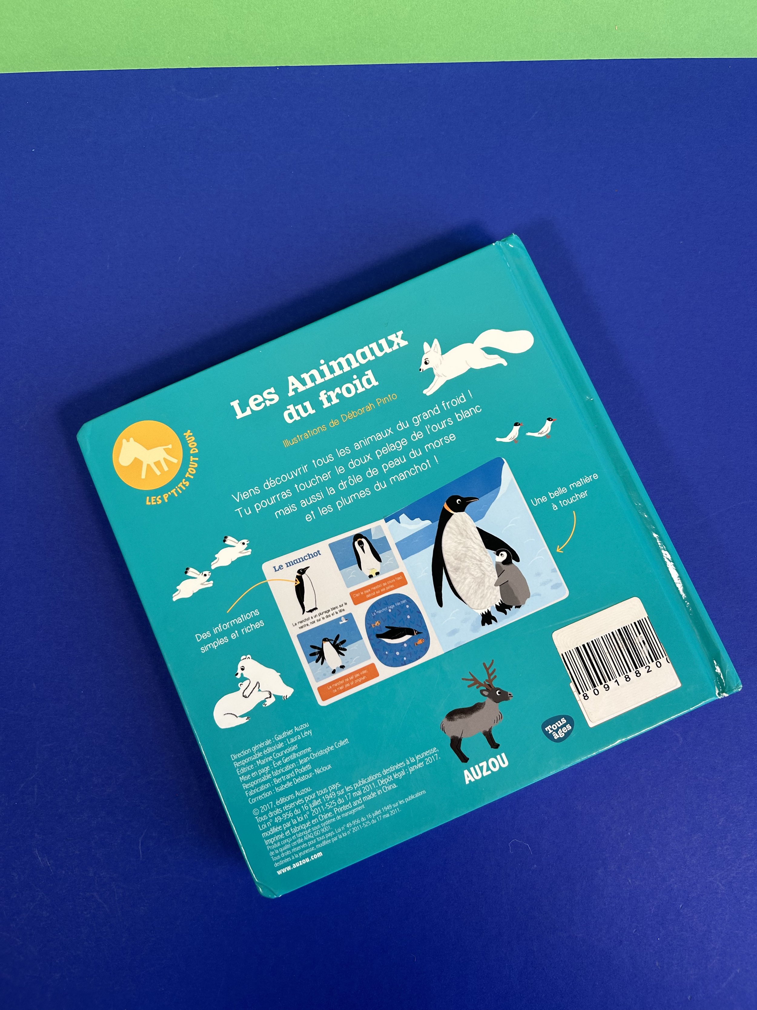 Replay kids_livre_les animaux du froid_5.jpeg