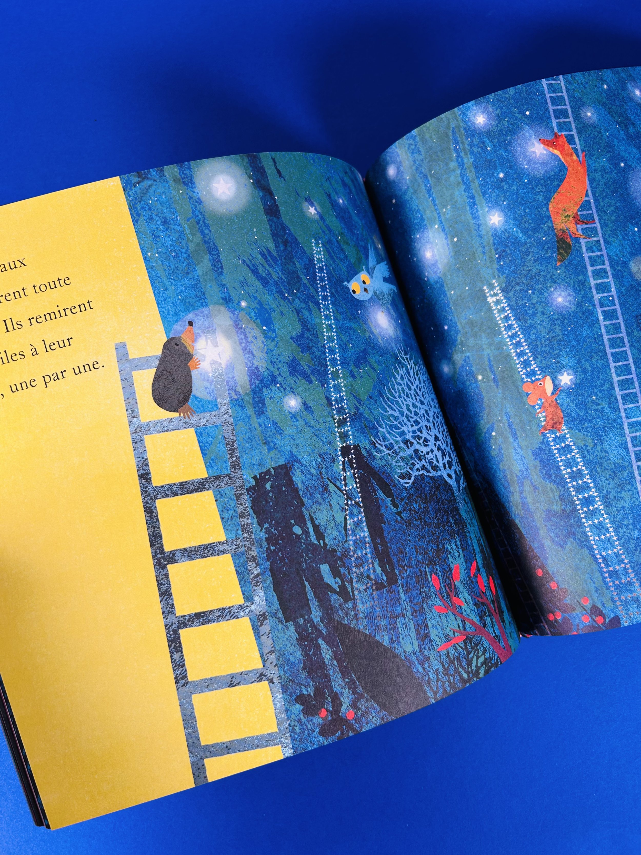 Replay kids_livre_la bonne étoile de taupe_3.jpeg